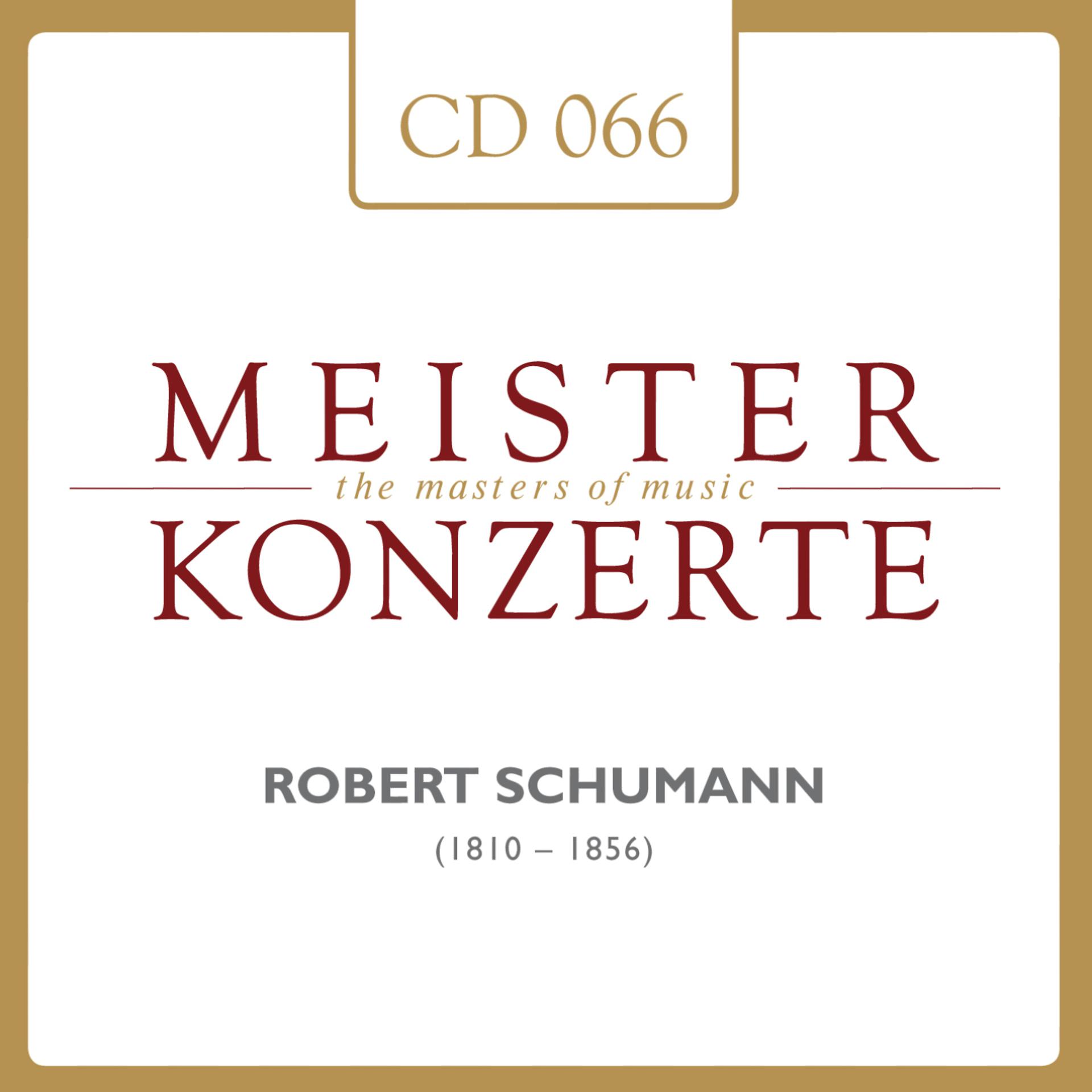 Постер альбома Robert Schumann
