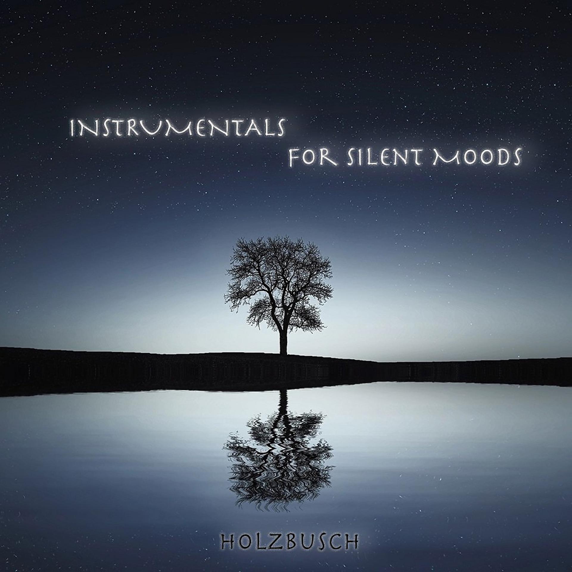 Постер альбома Instrumentals for Silent Moods