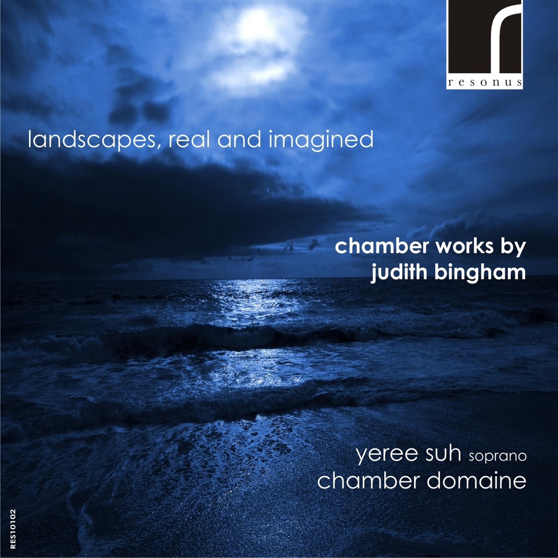 Постер альбома Landscapes, Real and Imagined: Chamber Works by Judith Bingham