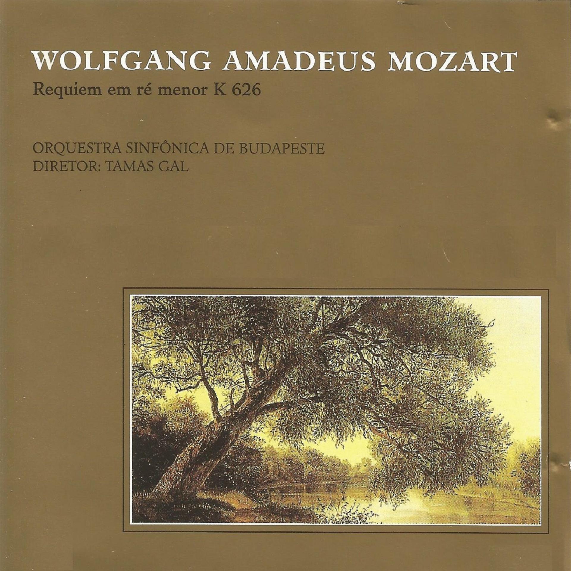 Постер альбома Wolfgang Amadeus Mozart - Requiem em Ré Menor