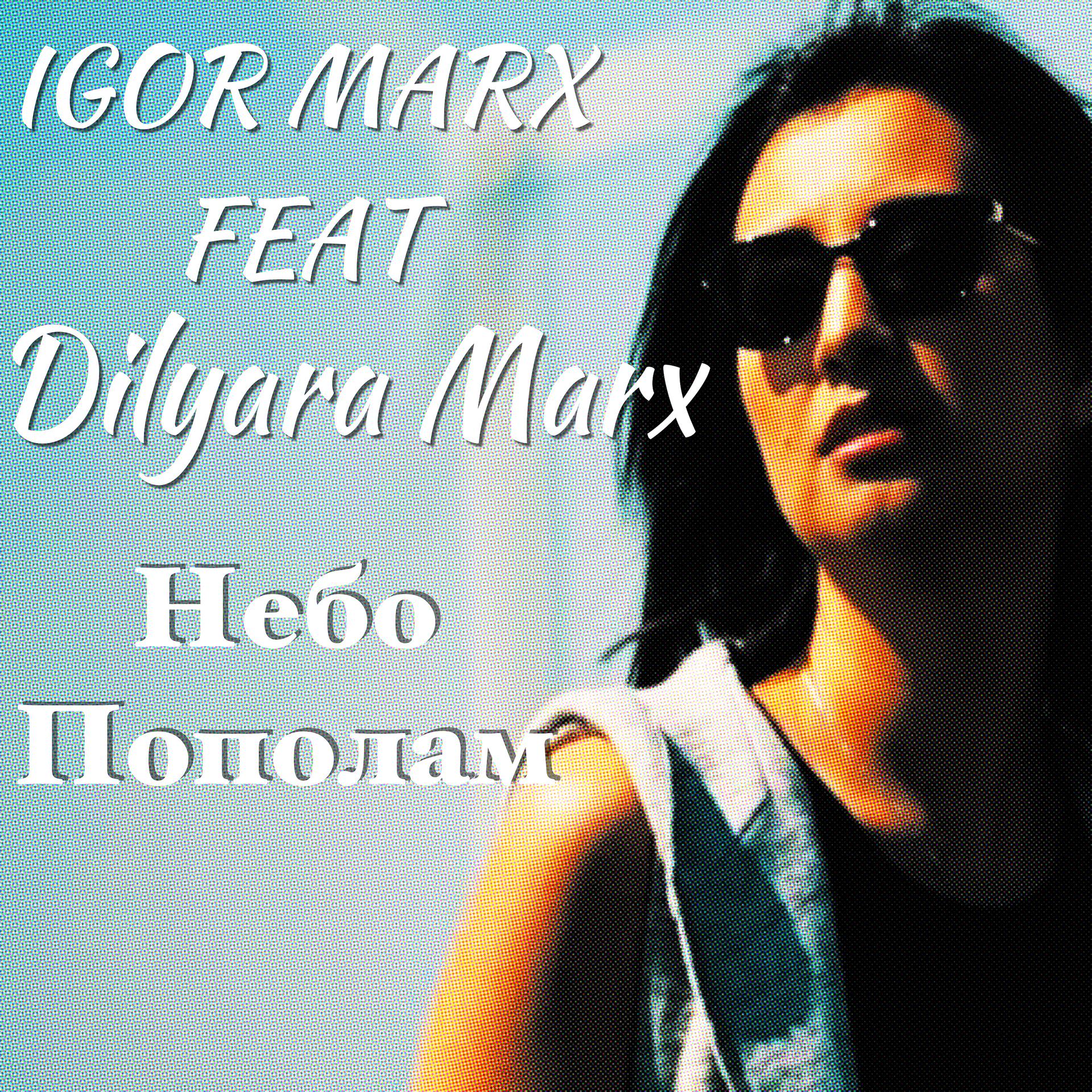 Постер альбома Небо пополам (feat. Dilyara Marx)