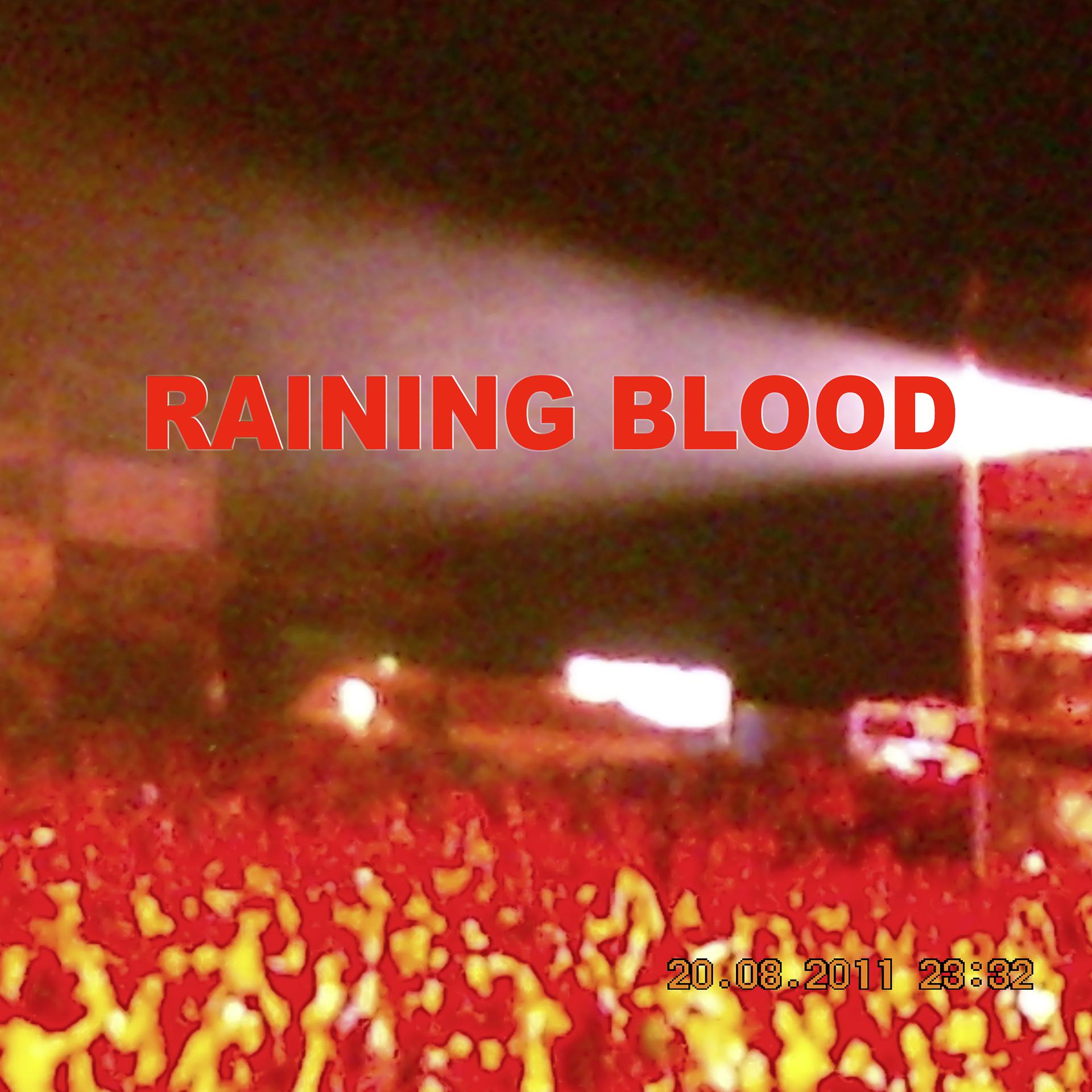 Постер альбома Raining Blood