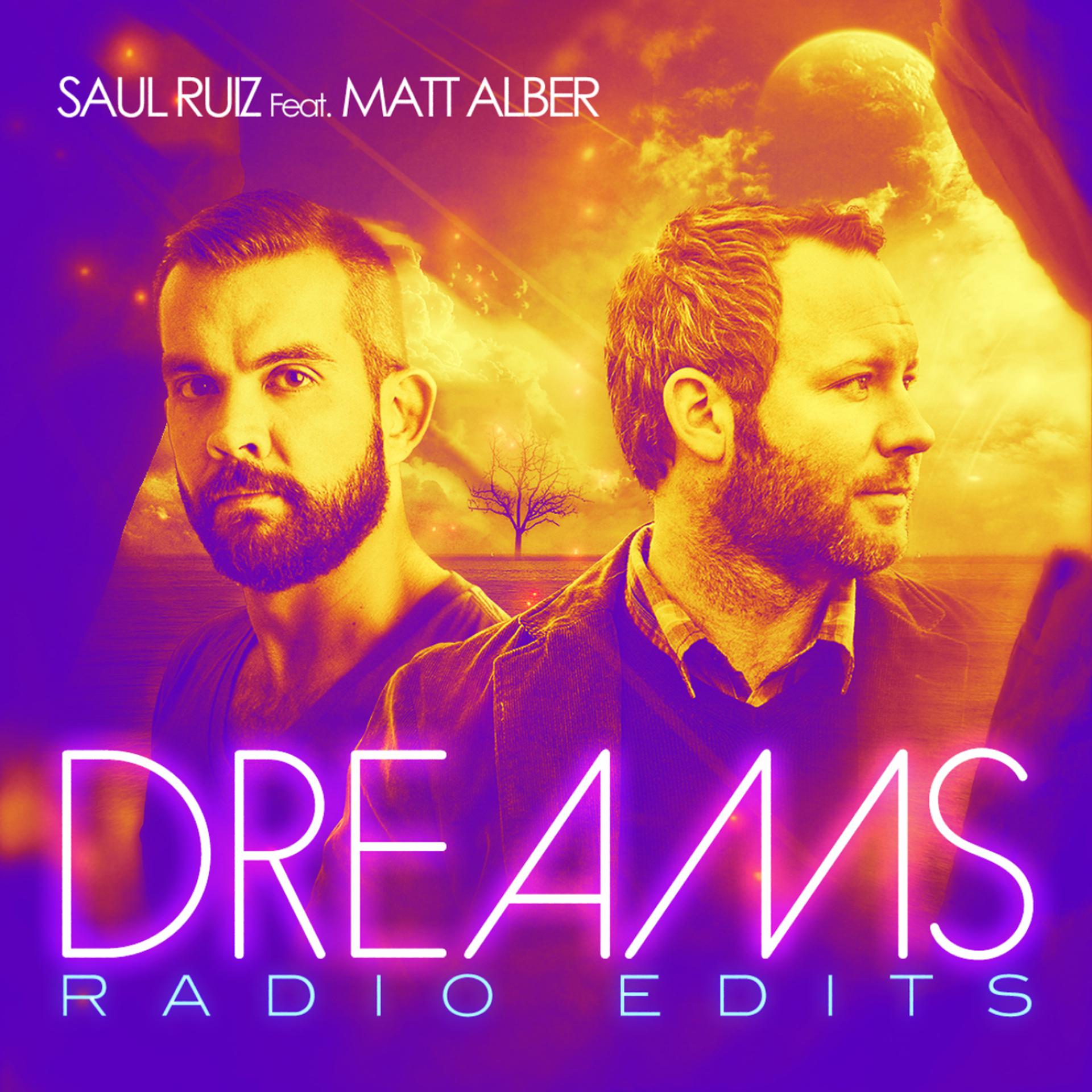 Постер альбома Dreams - The Radio Edits (feat. Matt Alber)