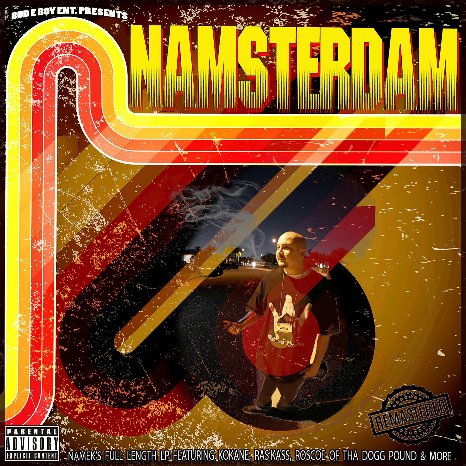Постер альбома Namsterdam