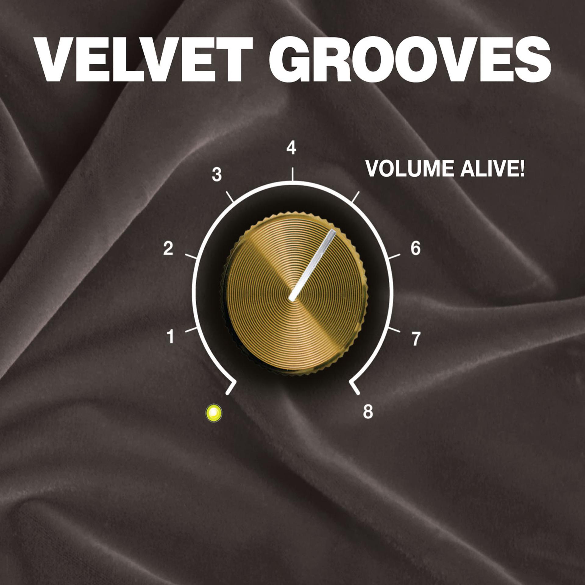 Постер альбома Velvet Grooves Volume Alive!