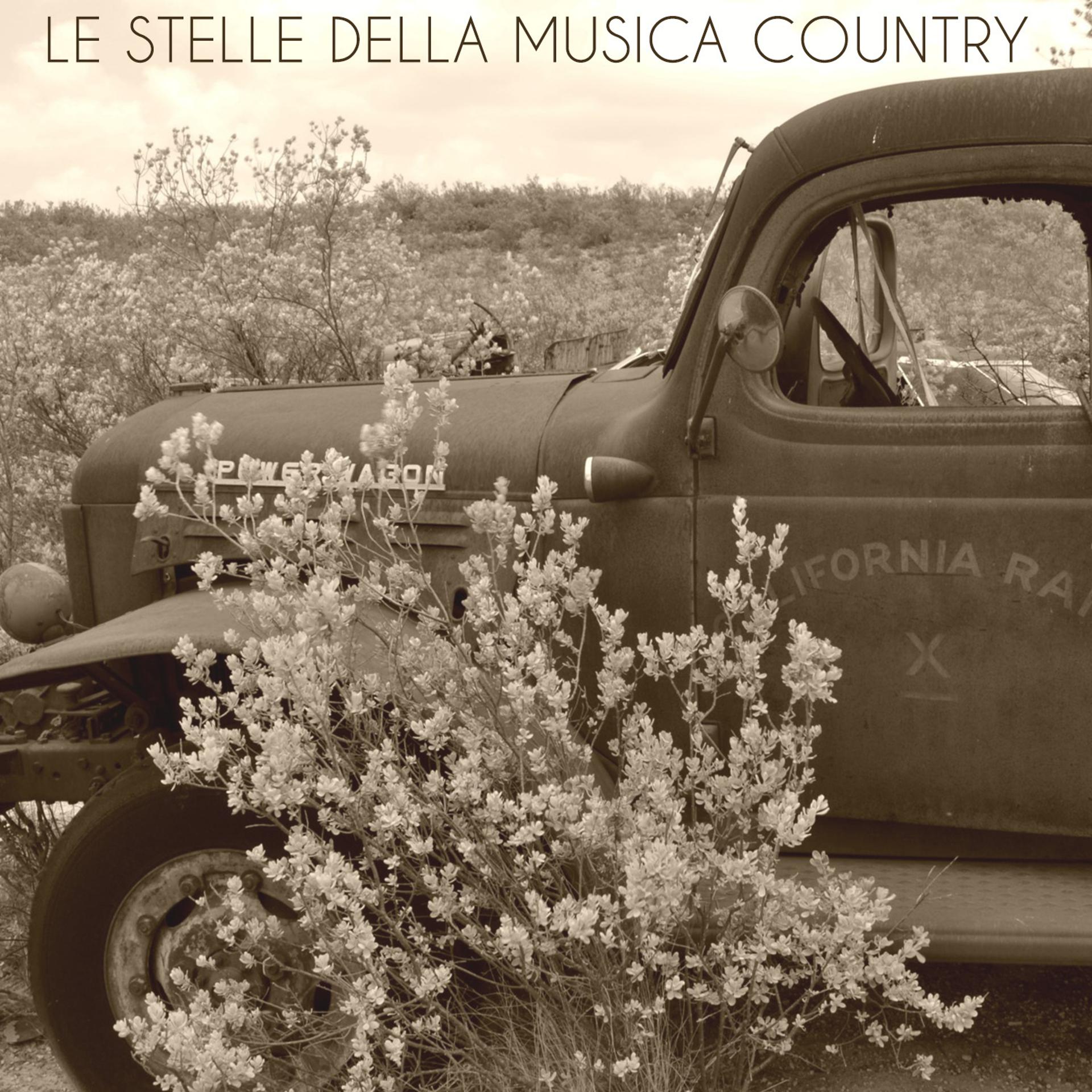 Постер альбома Le Stelle Della Musica Country