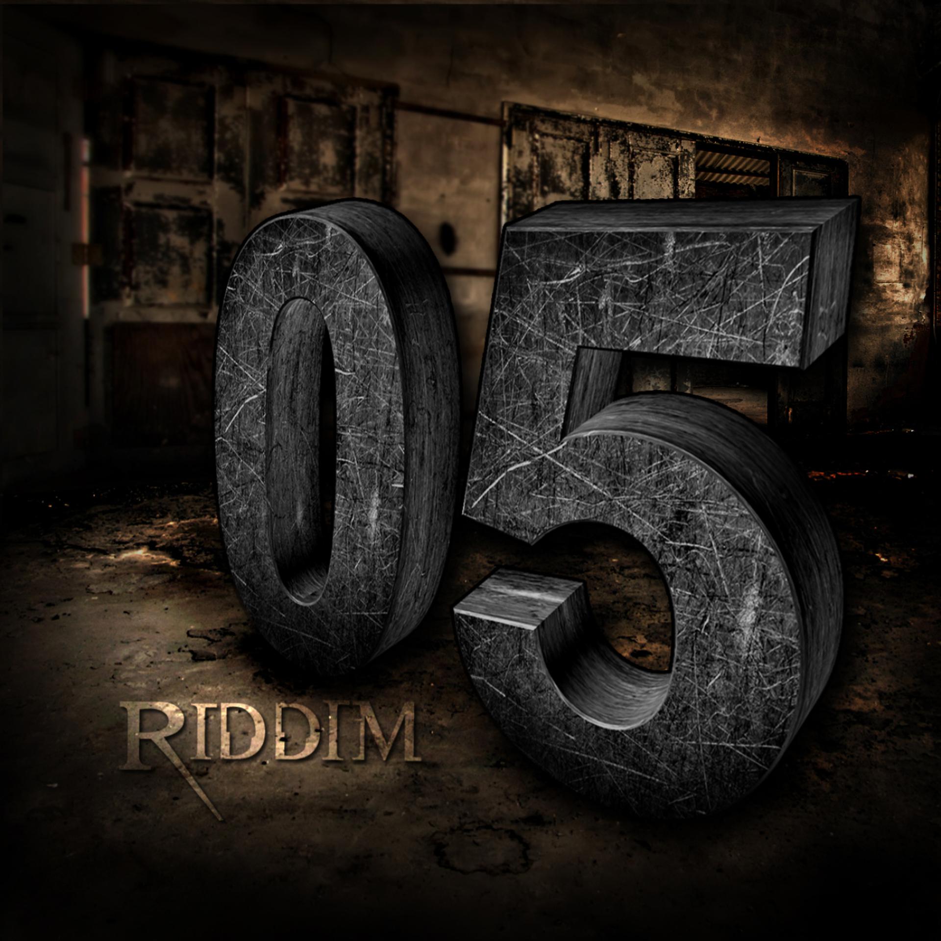Постер альбома 05 Riddim