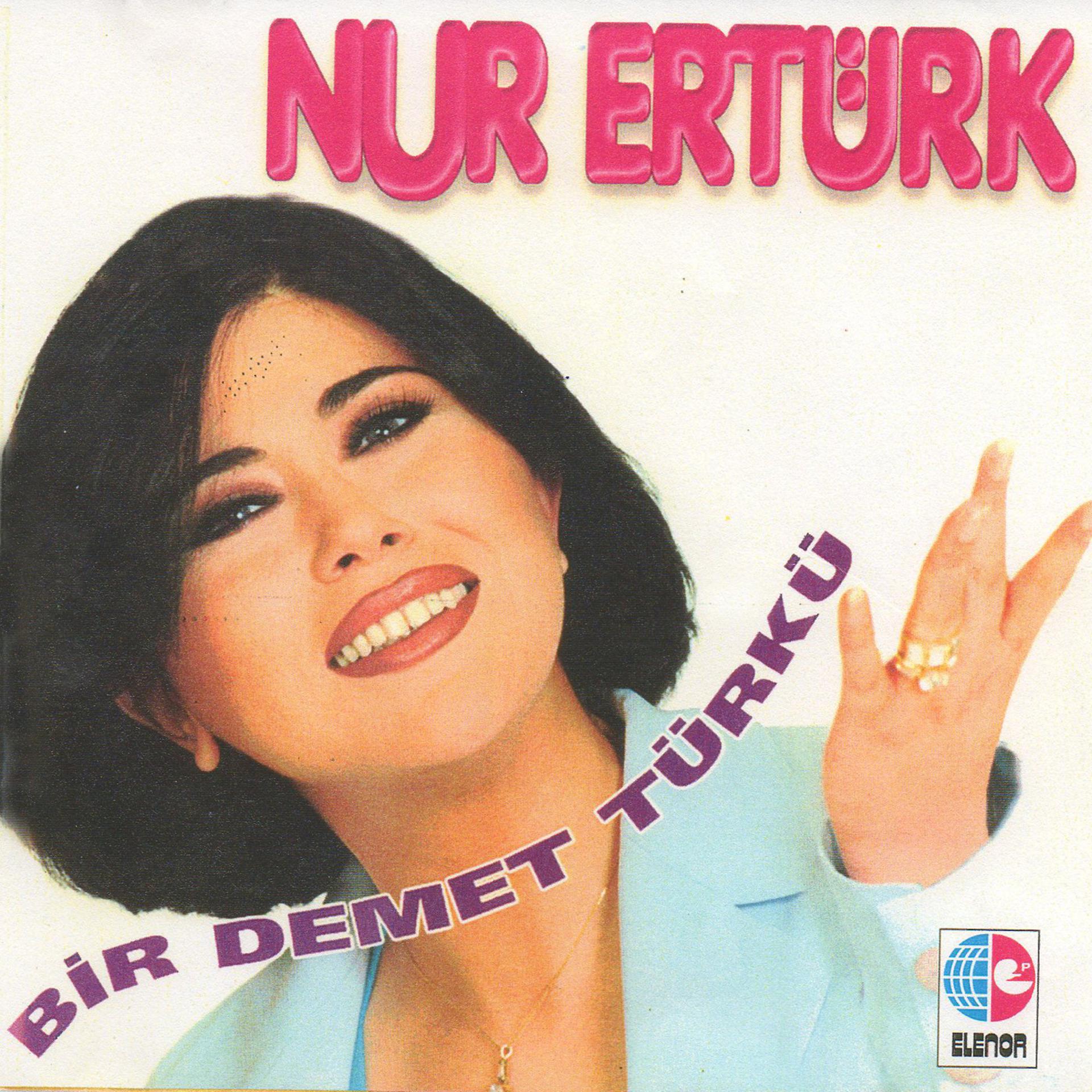 Постер альбома Bir Demet Türkü