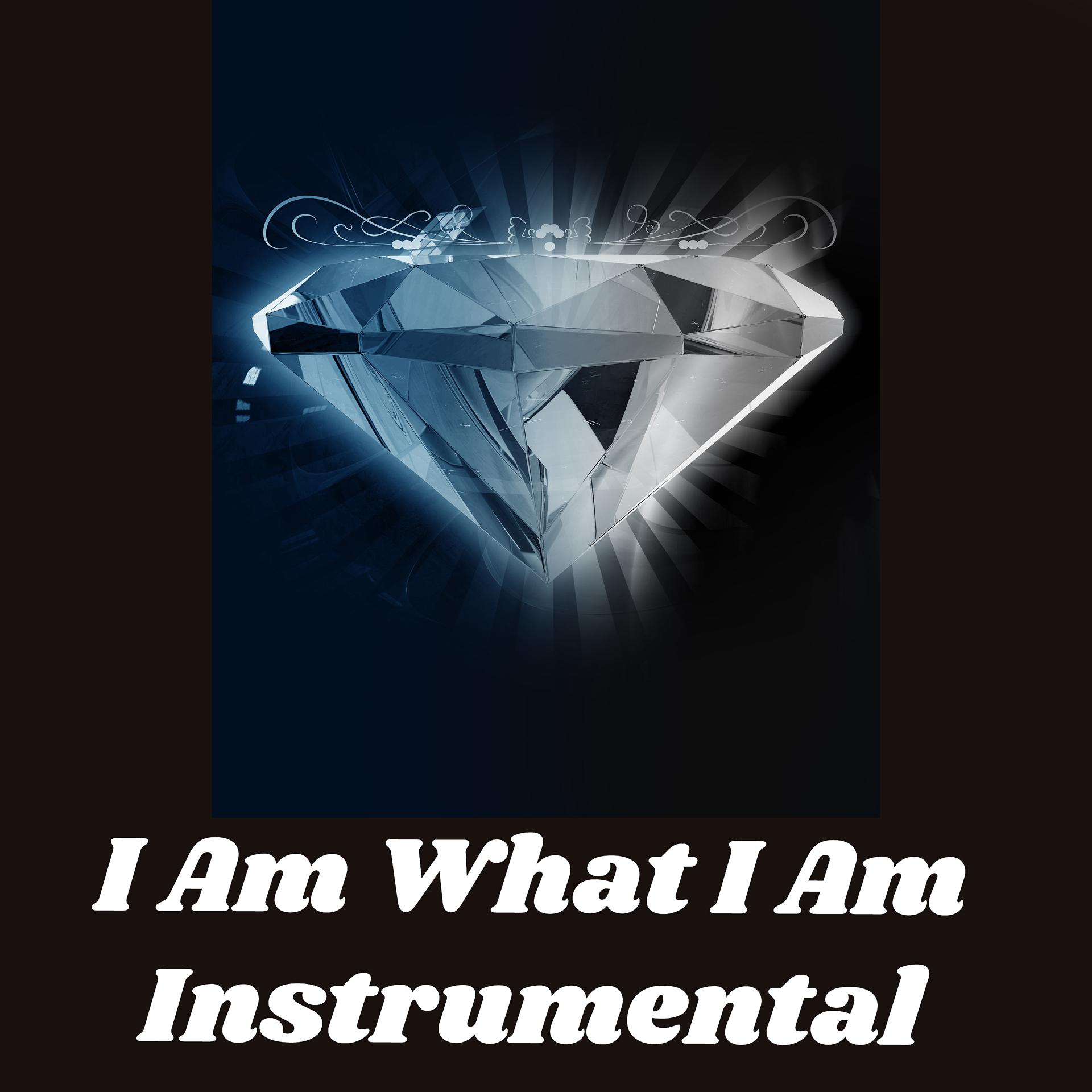Постер альбома I Am What I Am Instrumental