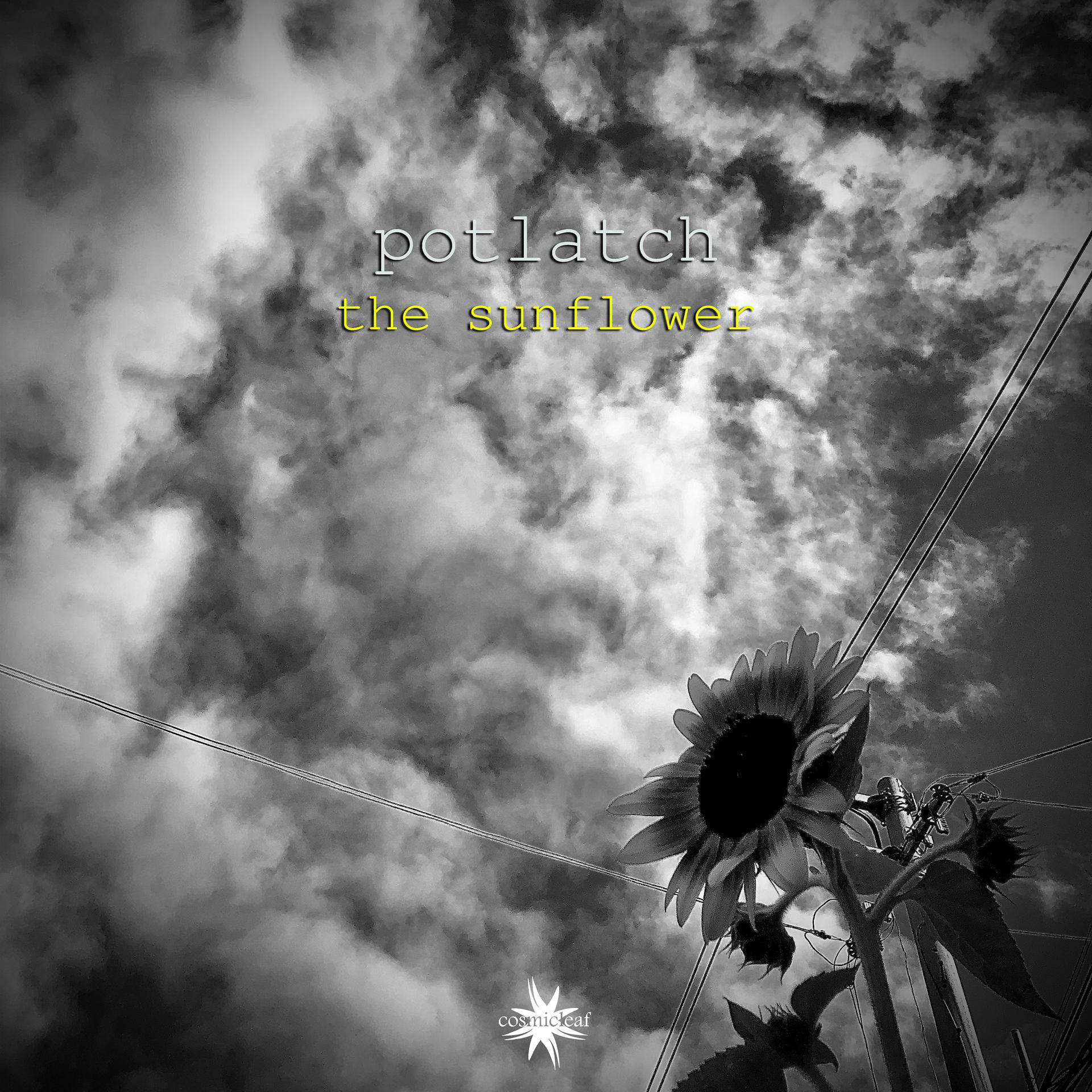 Постер альбома The Sunflower