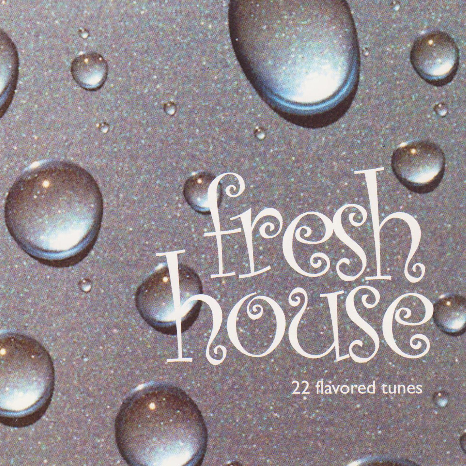 Постер альбома Fresh House - 22 Flavored Tunes