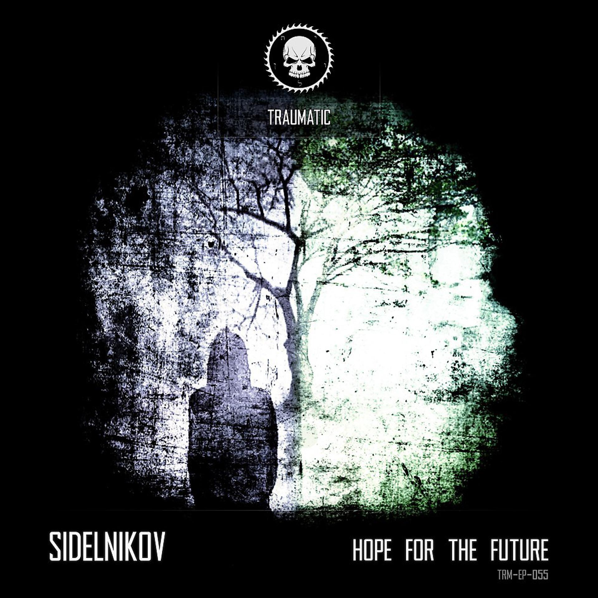 Постер альбома Hope for the Future