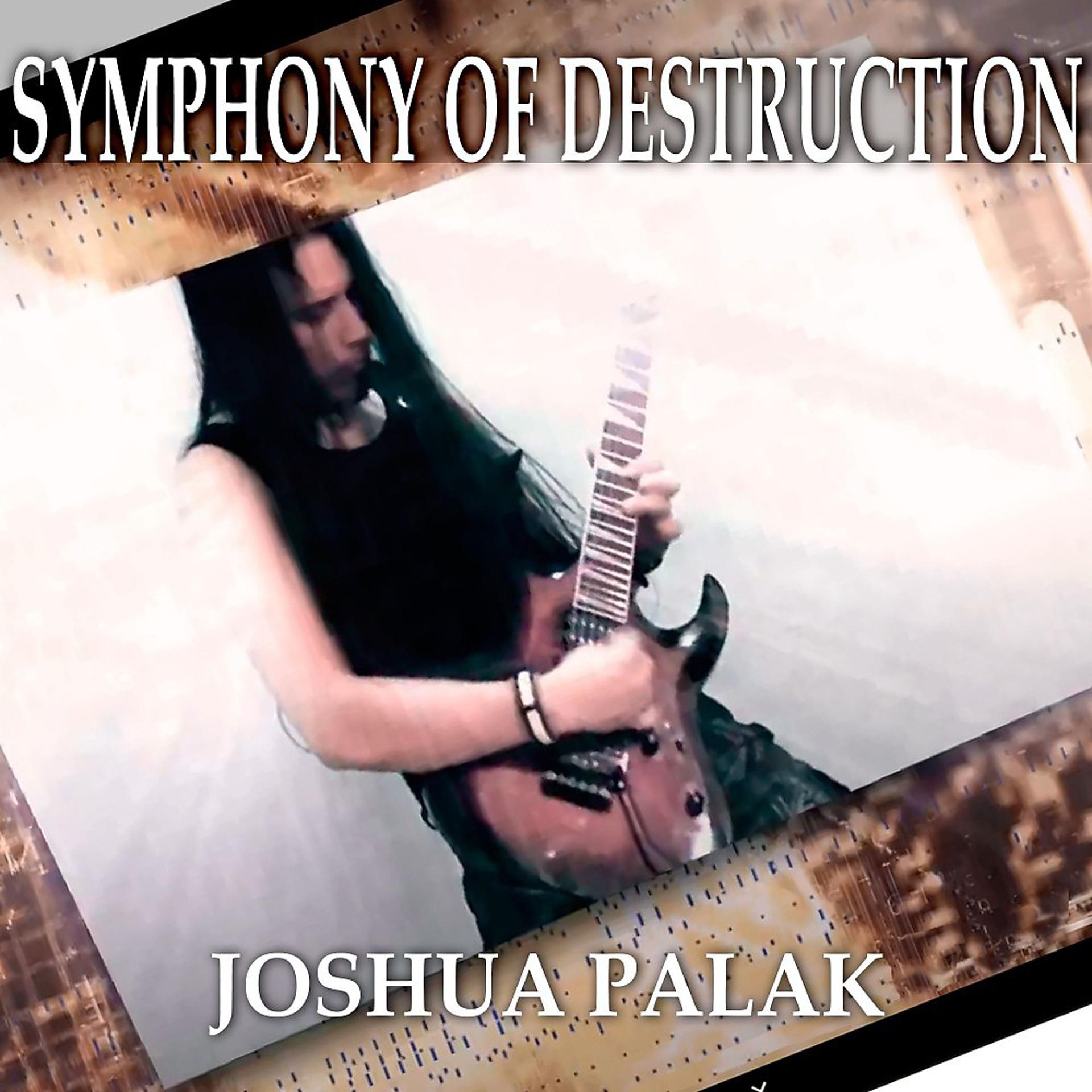 Постер альбома Symphony of Destruction