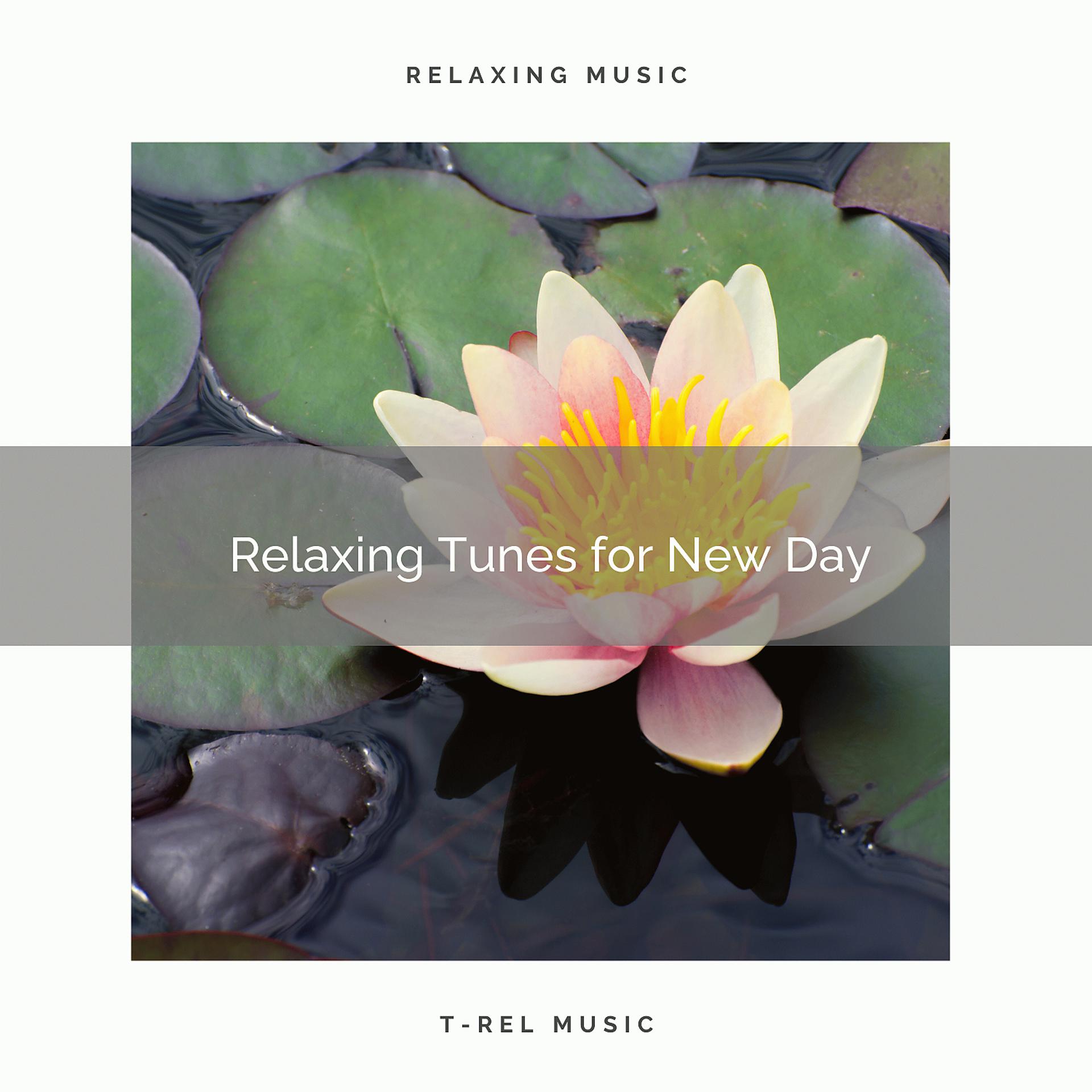 Постер альбома 2020 Best: Relaxing Tunes for New Day