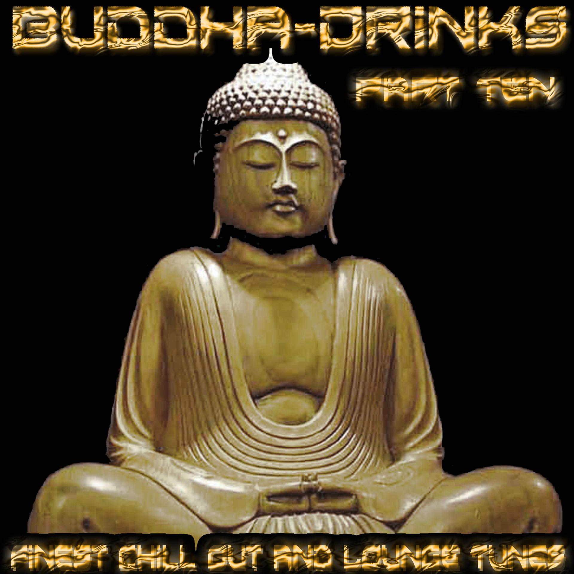 Постер альбома Buddha Drinks Part Ten