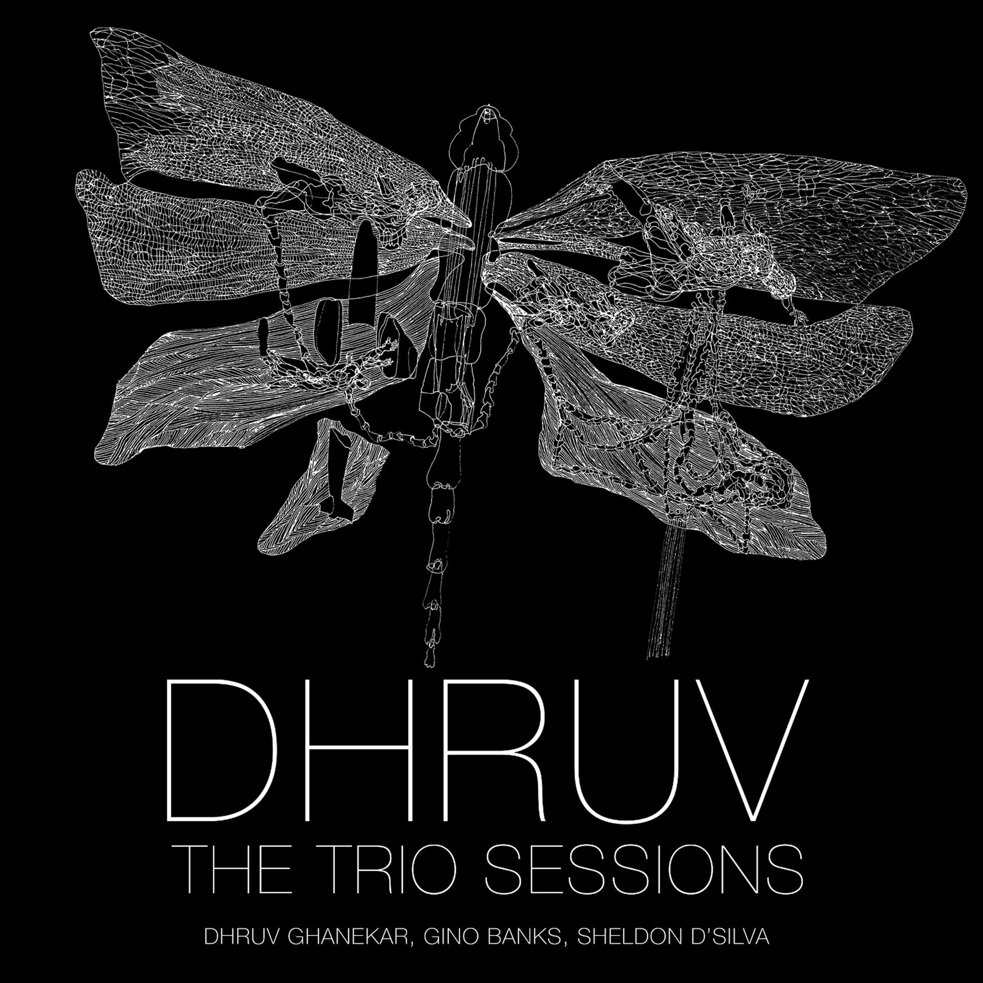 Постер альбома The Trio Sessions