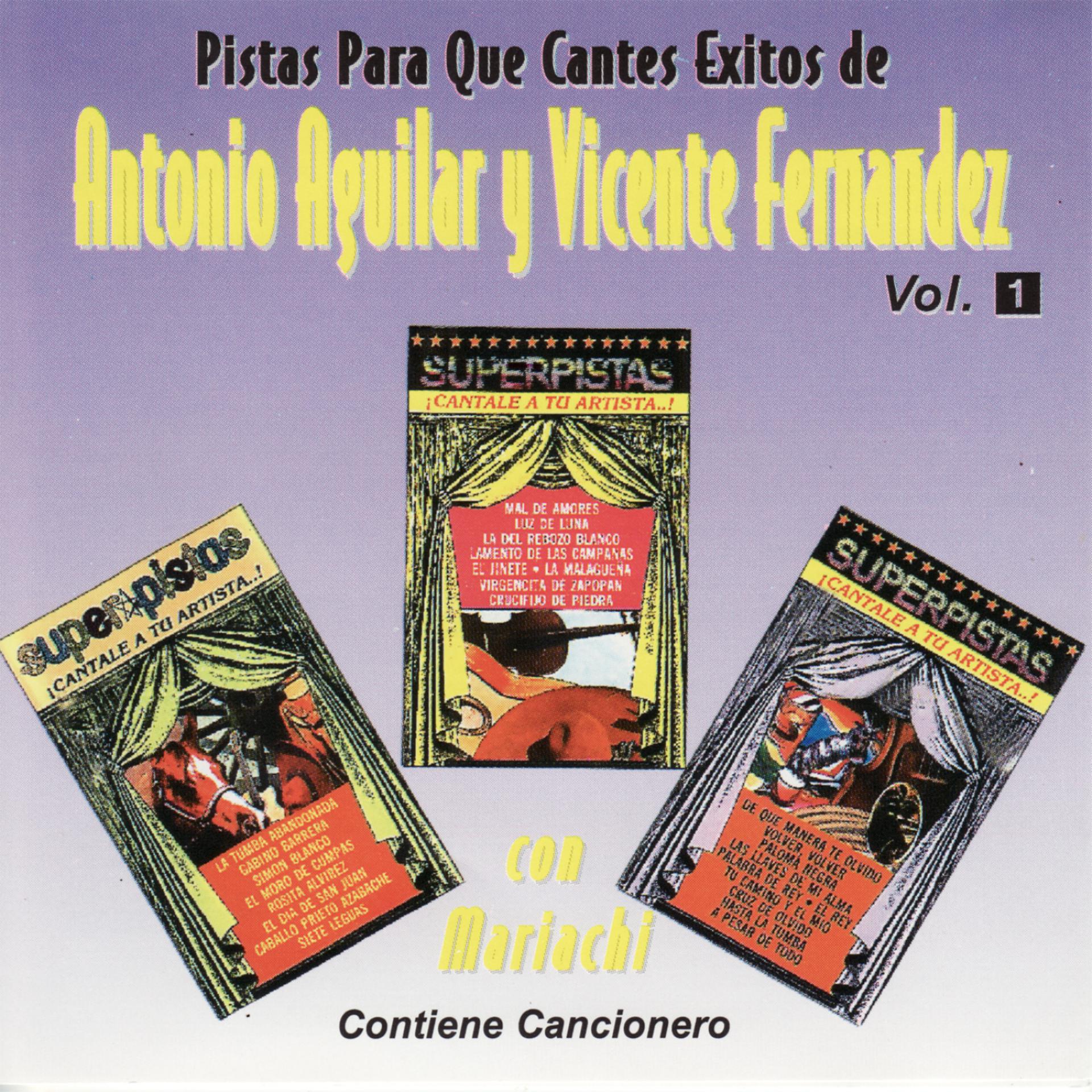 Постер альбома Pistas Para Que Cantes Exitos de Antonio Aguilar y Vicente Fernandez