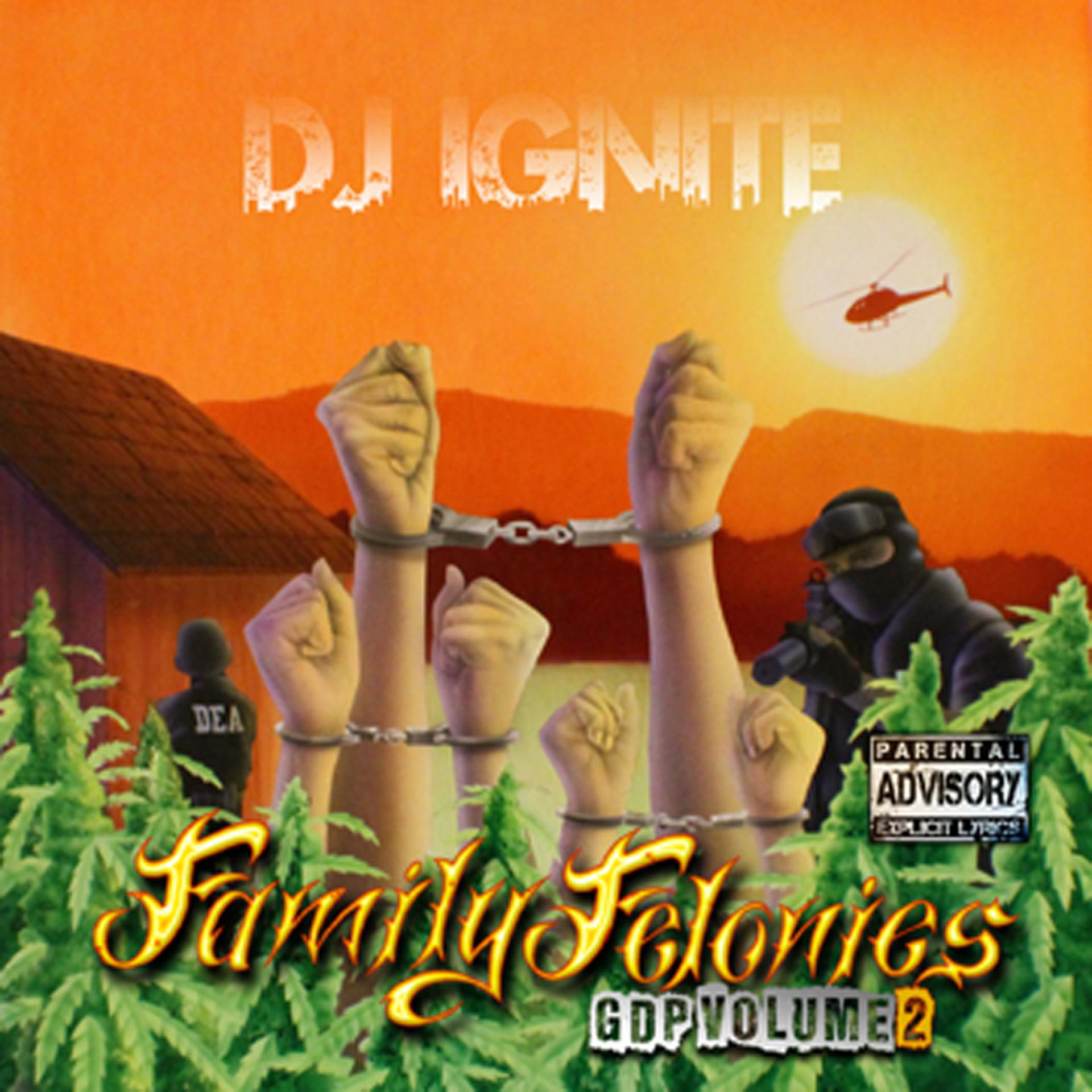 Постер альбома Family Felonies Gdp Volume 2