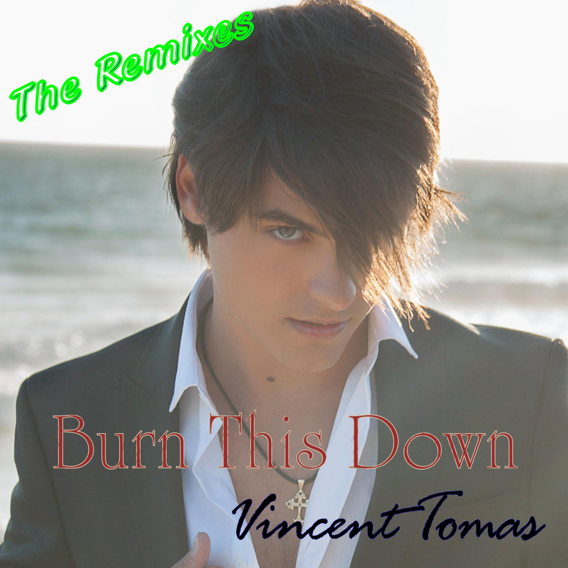 Постер альбома Burn This Down: The Remixes