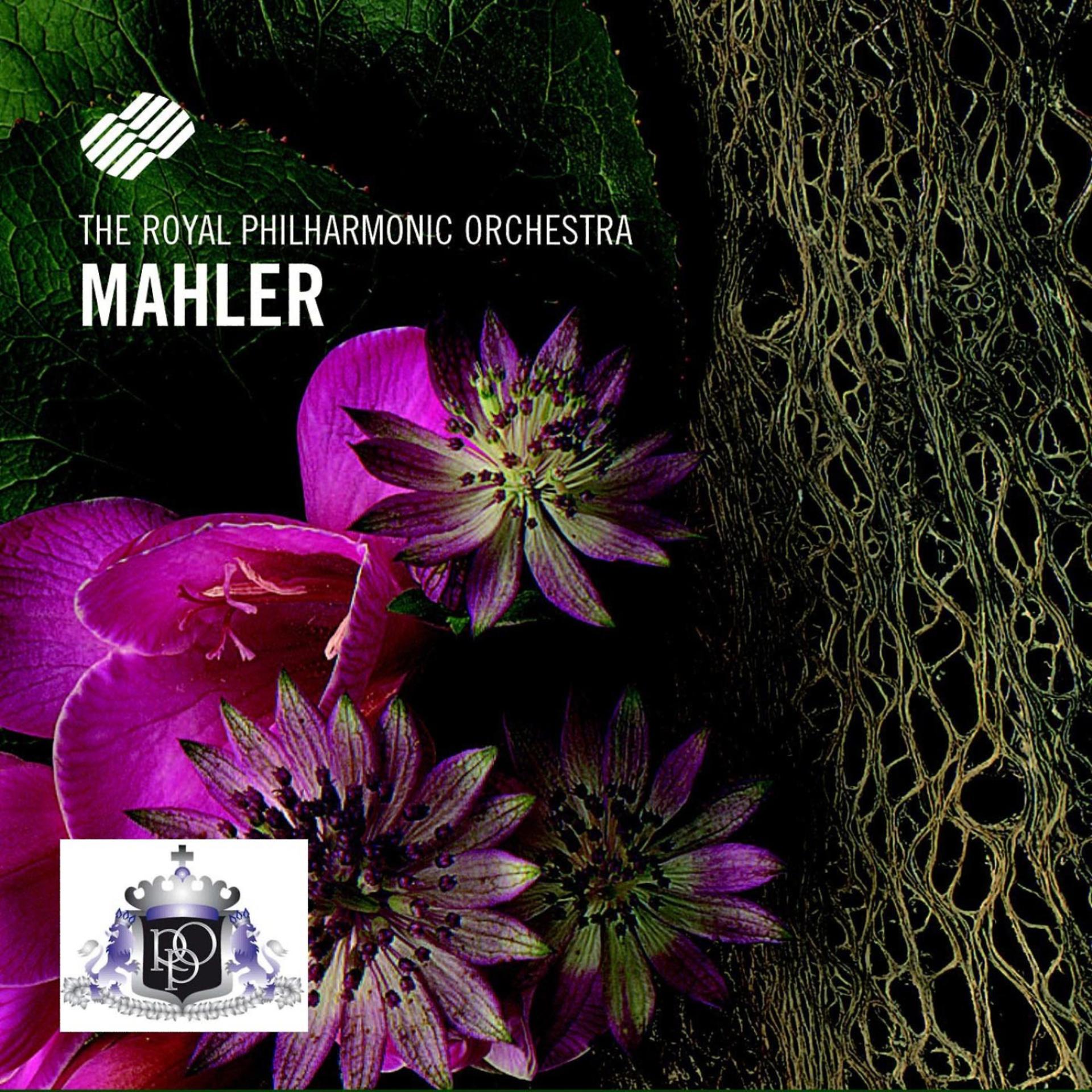 Постер альбома Gustav Mahler