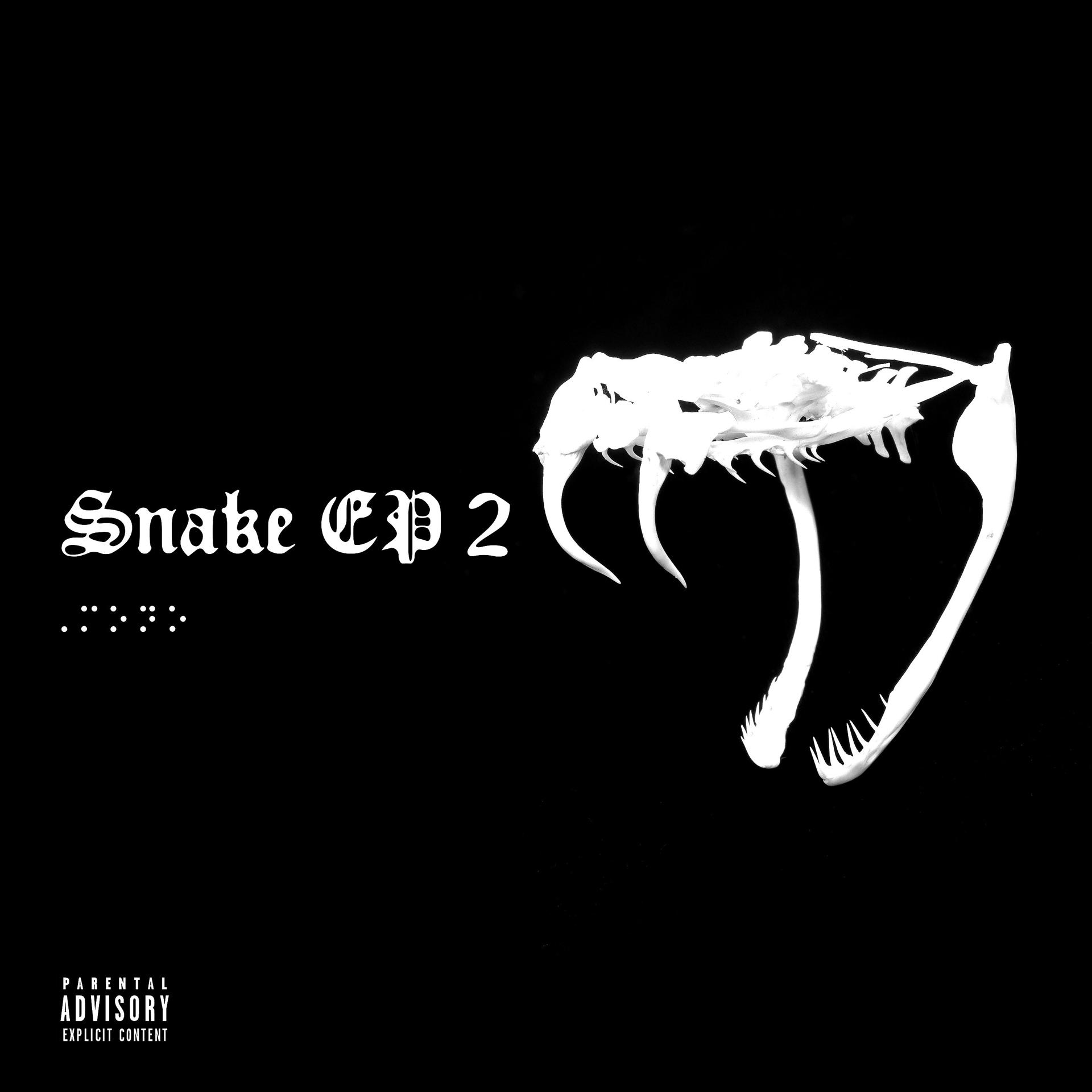 Постер альбома Snake EP 2