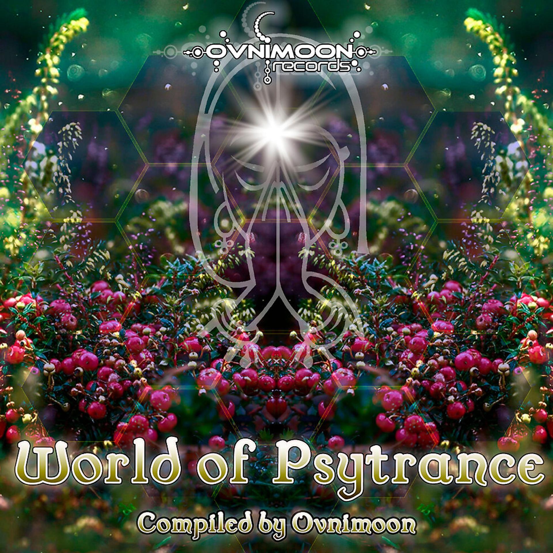 Постер альбома World Of Psytrance