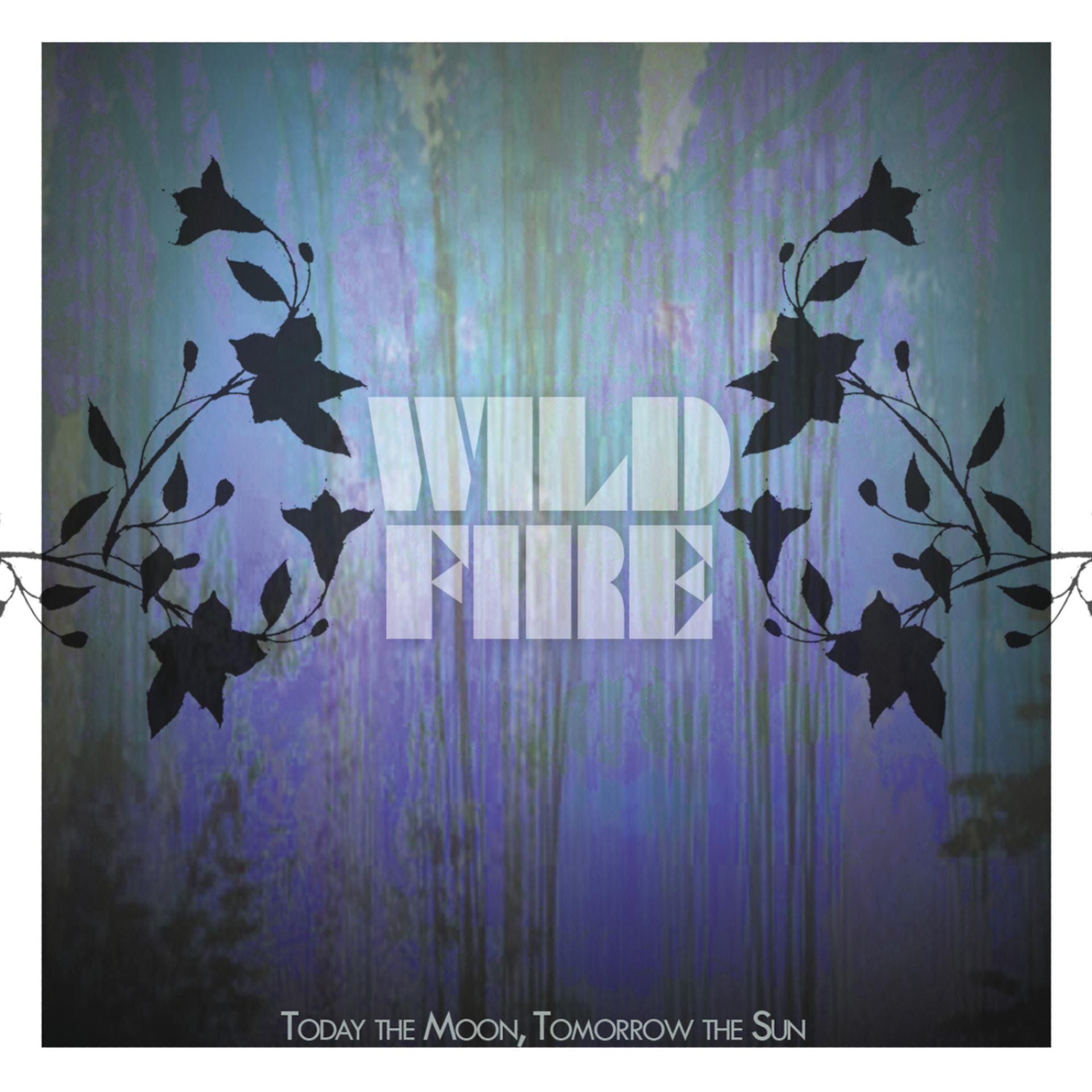 Постер альбома WILDFIRE