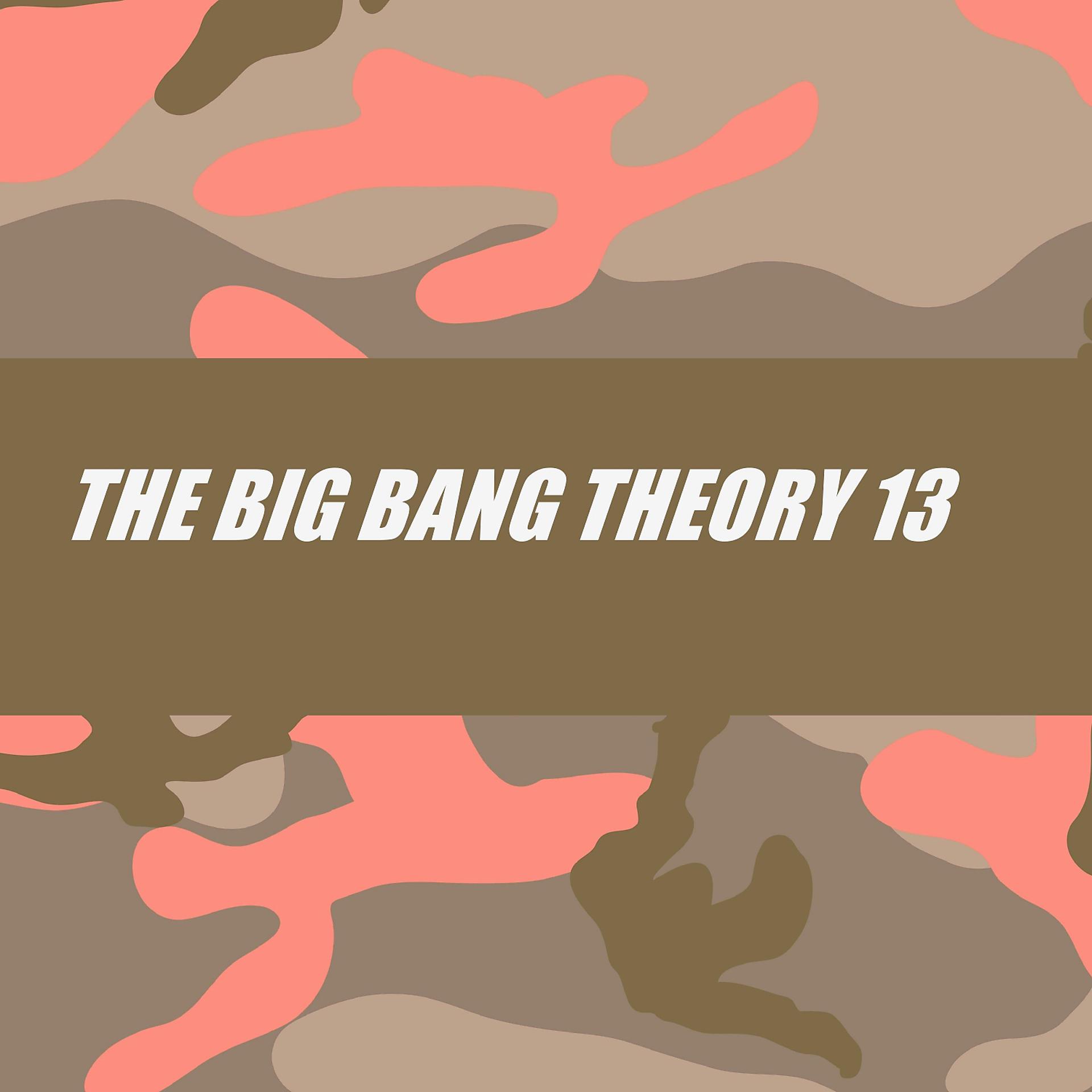 Постер альбома THE BIG BANG THEORY 13