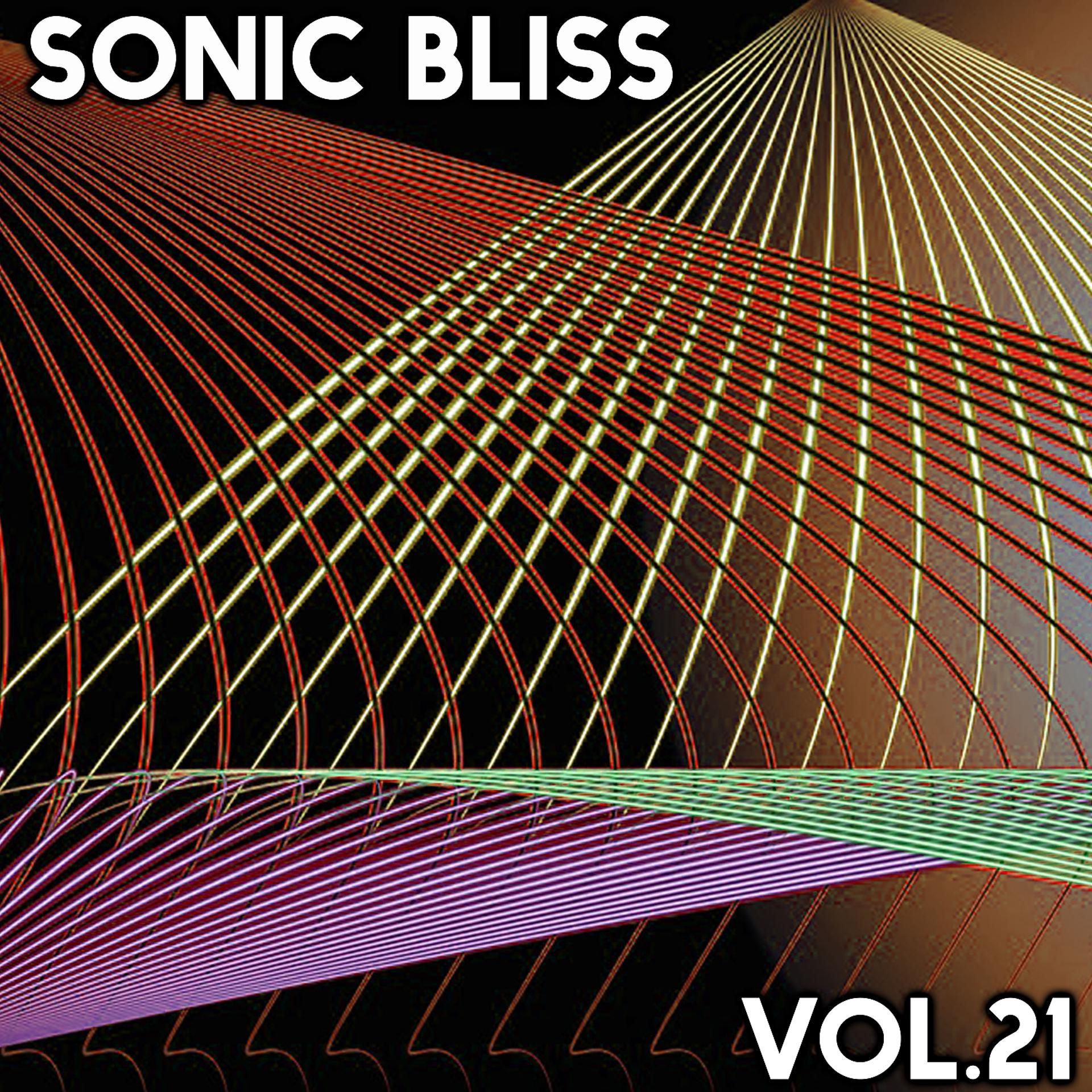 Постер альбома Sonic Bliss, Vol. 22