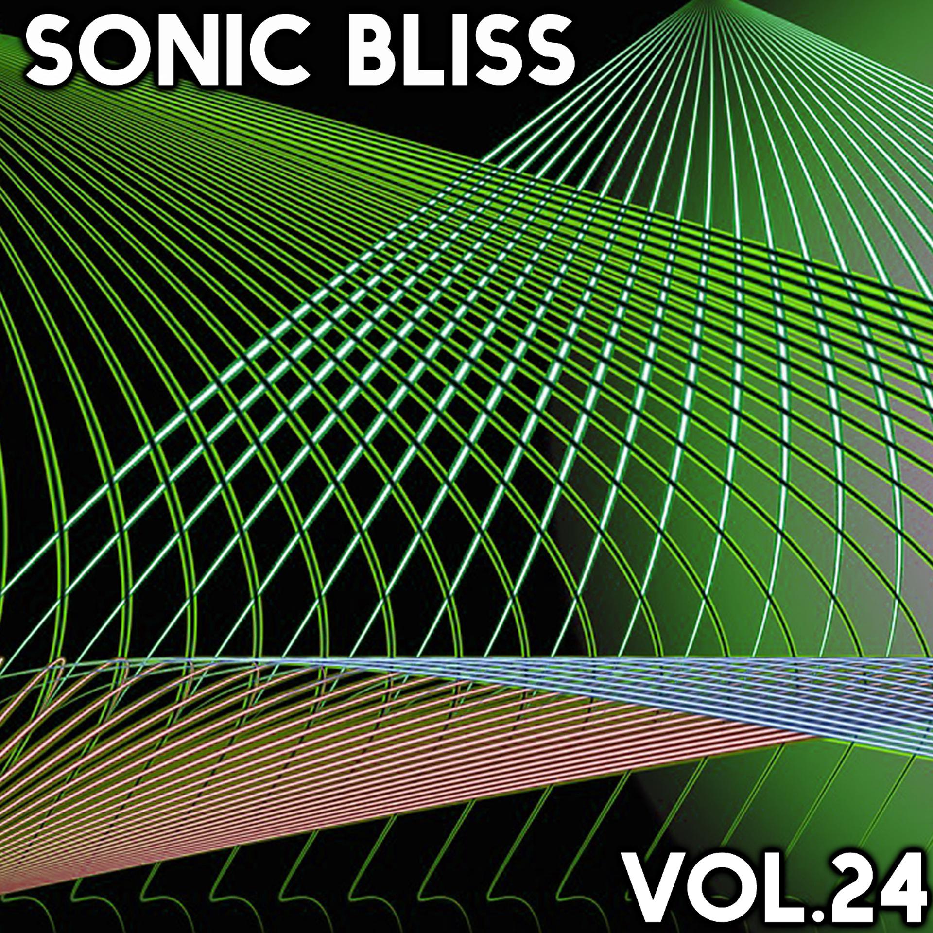 Постер альбома Sonic Bliss, Vol. 24
