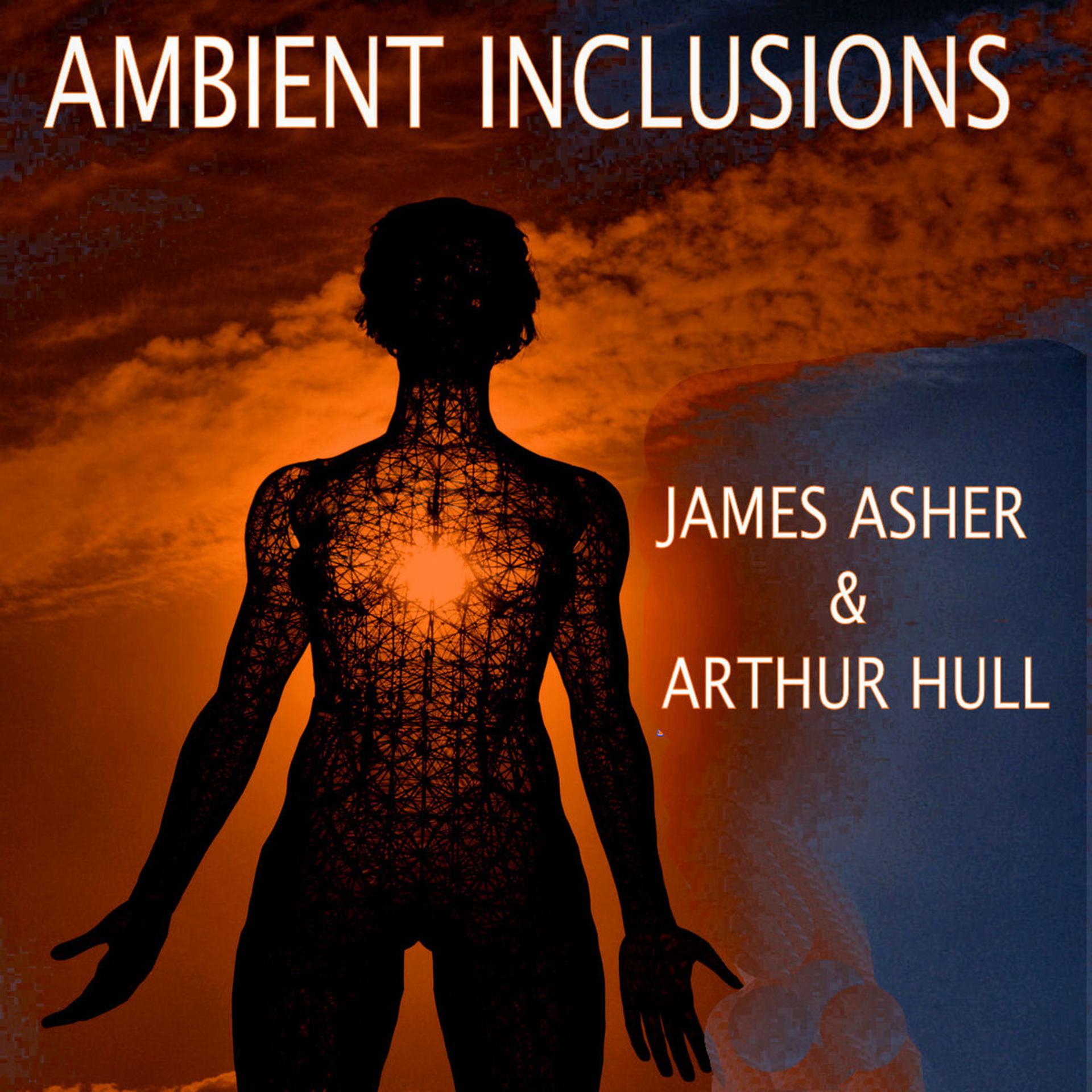 Постер альбома Ambient Inclusions