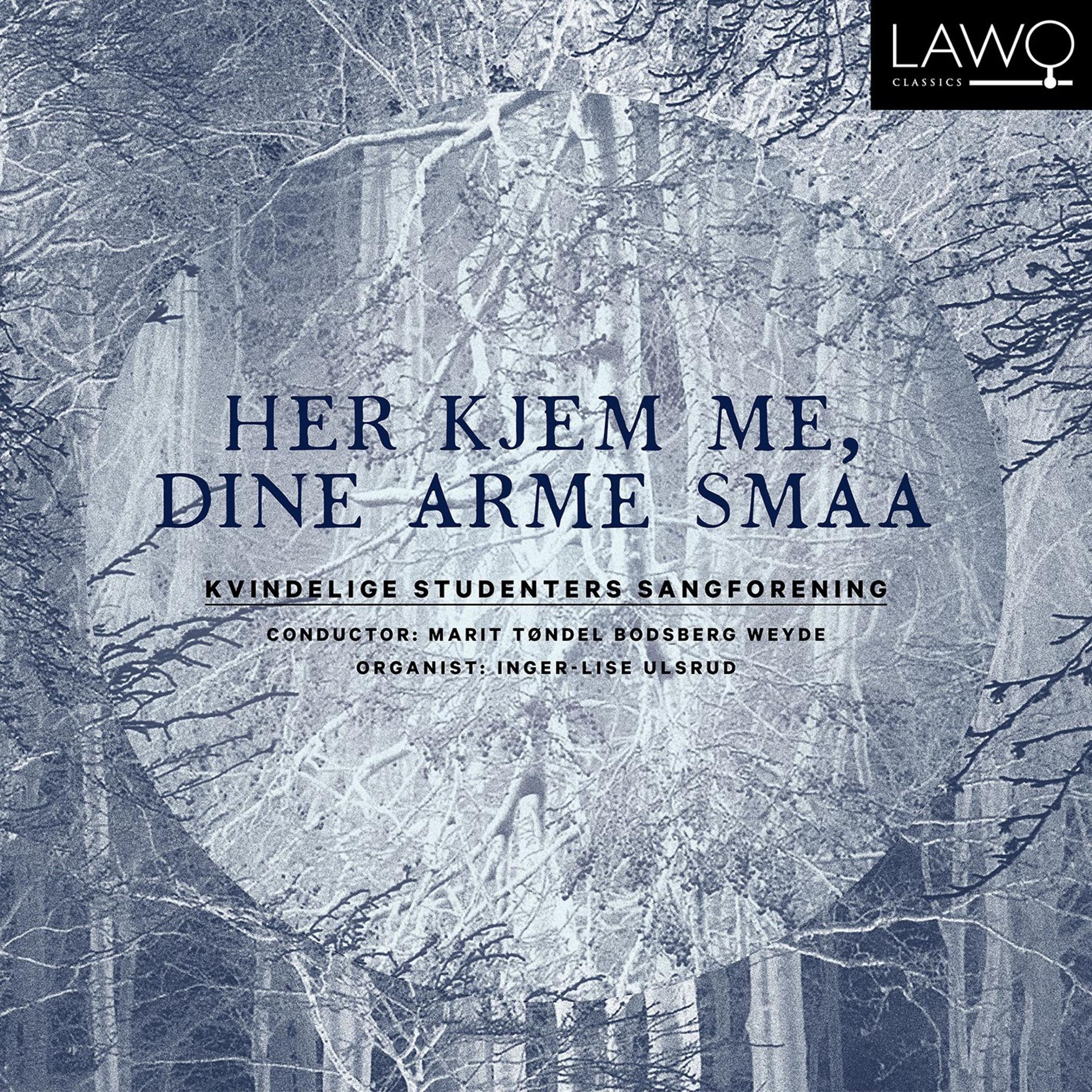 Постер альбома Her kjem me, dine arme smaa (Arr. Idunn Vindspoll)