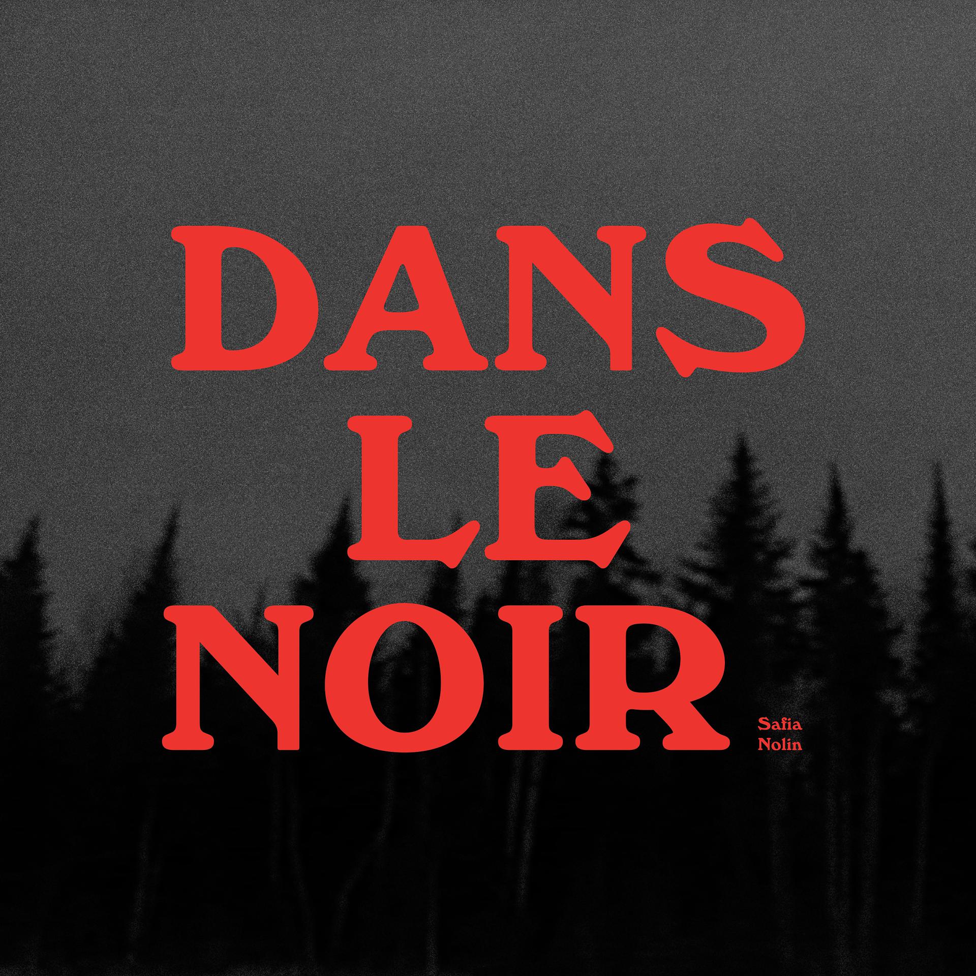 Постер альбома Dans le noir