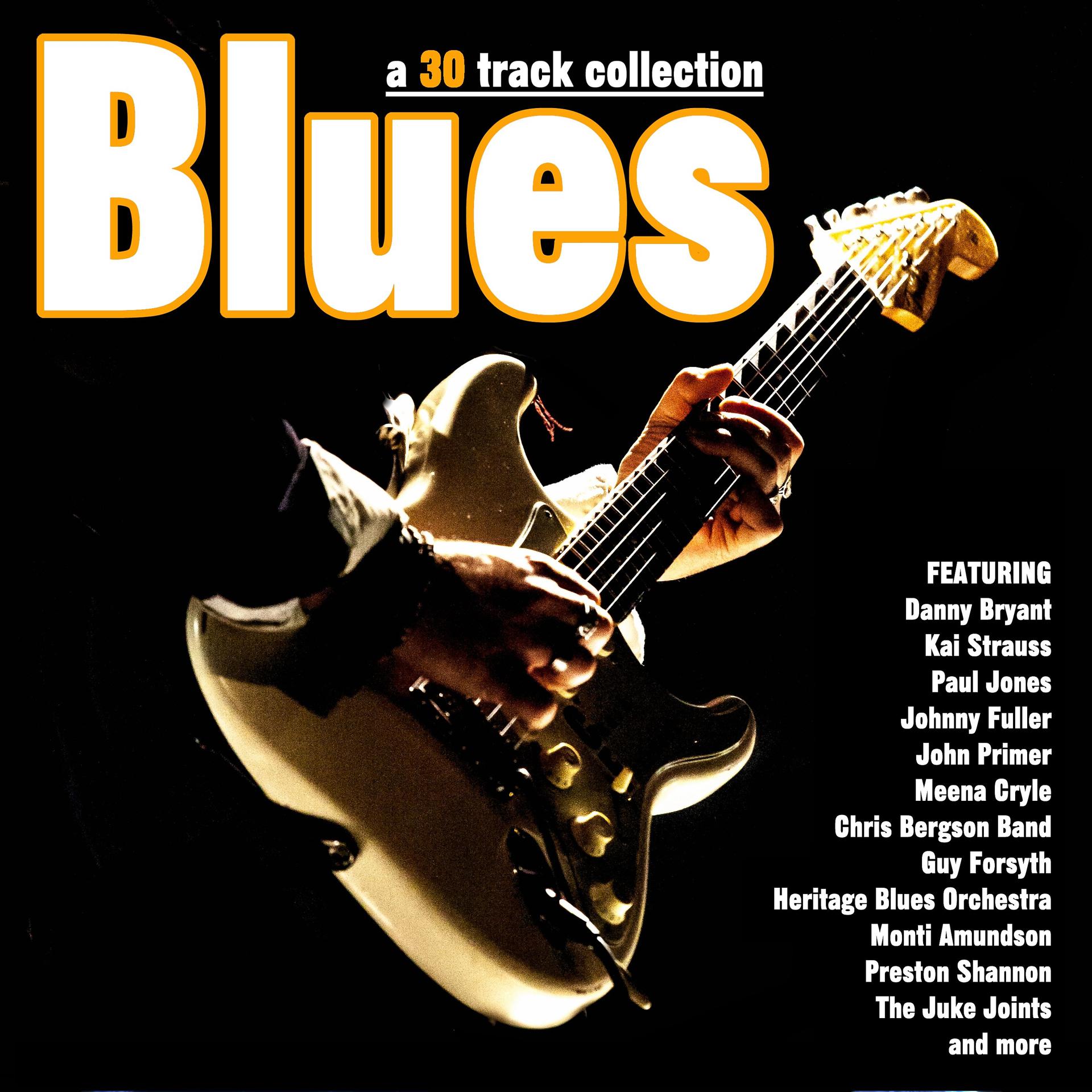Постер альбома Blues - A 30 Track Collection