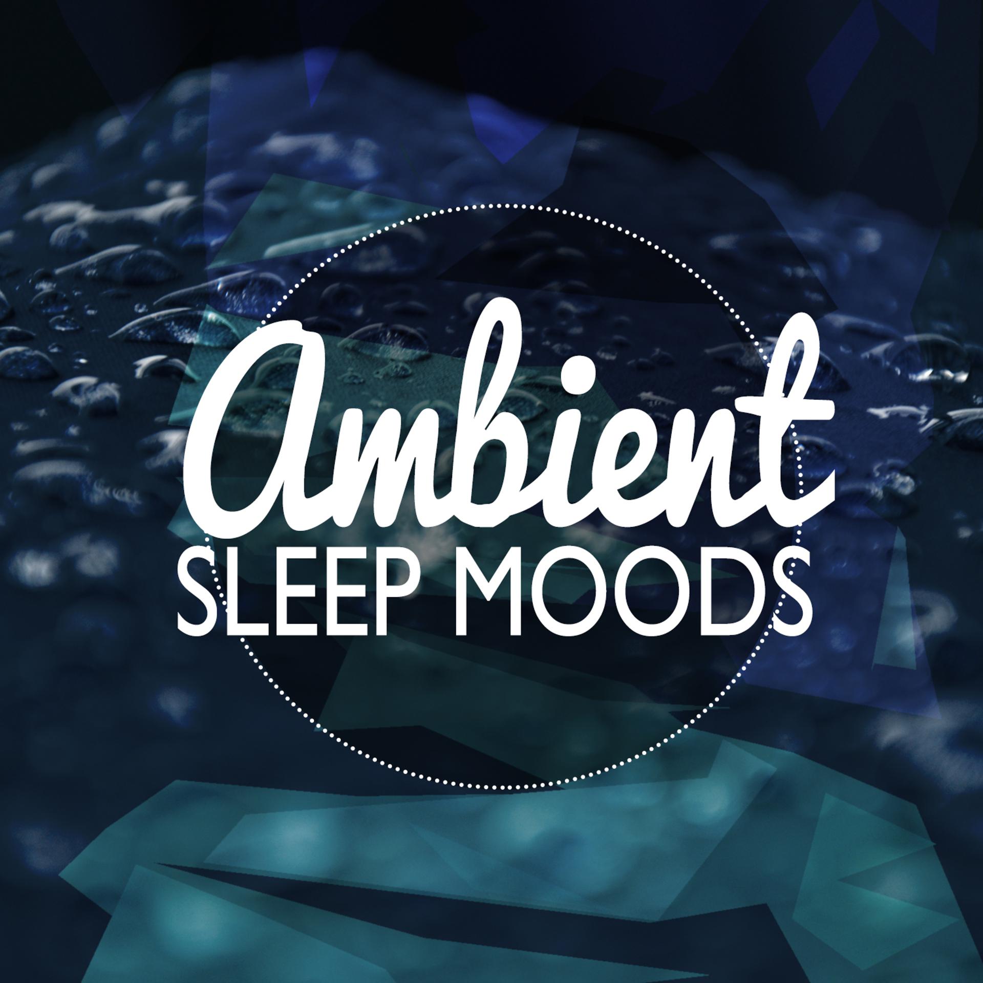 Постер альбома Ambient Sleep Moods