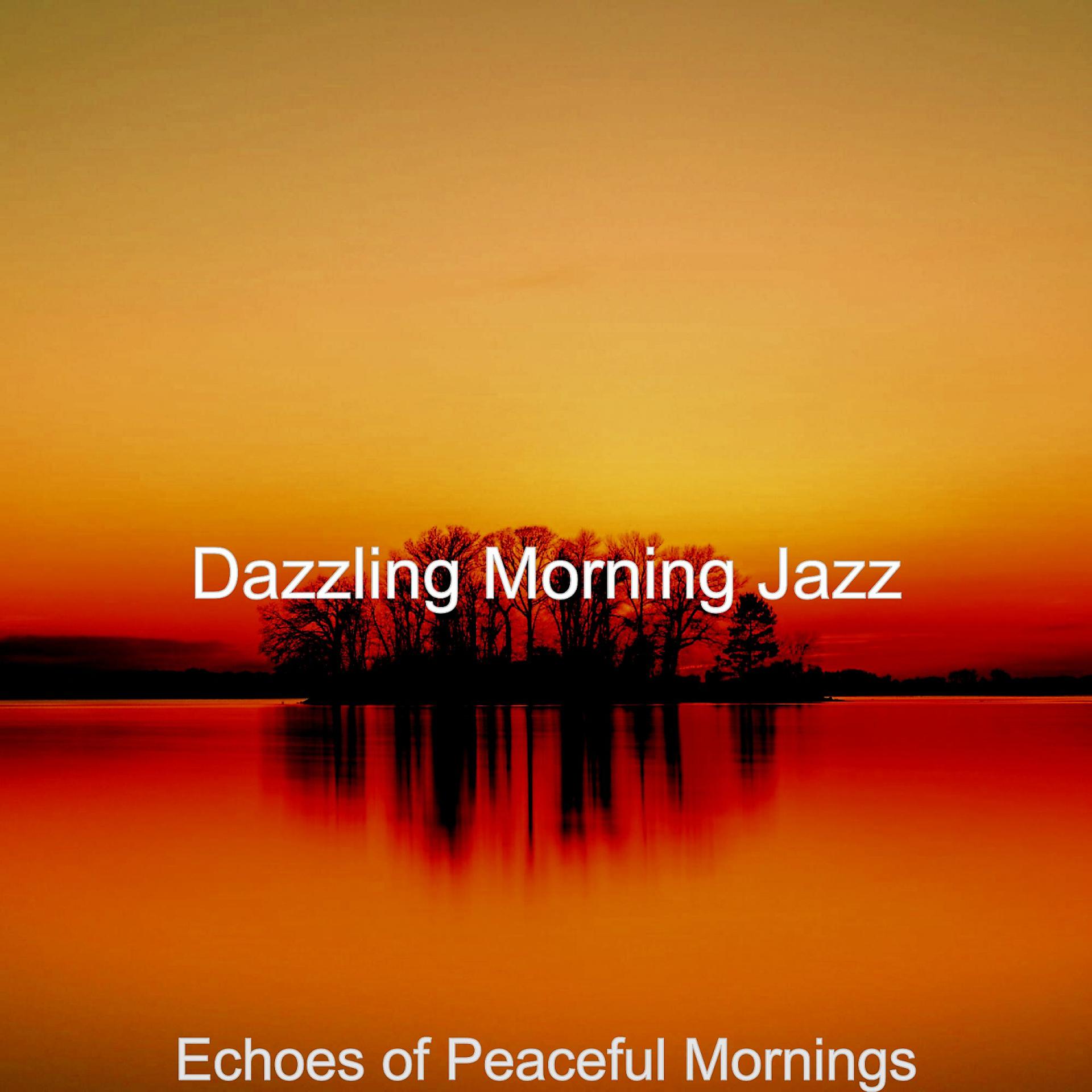 Постер альбома Echoes of Peaceful Mornings