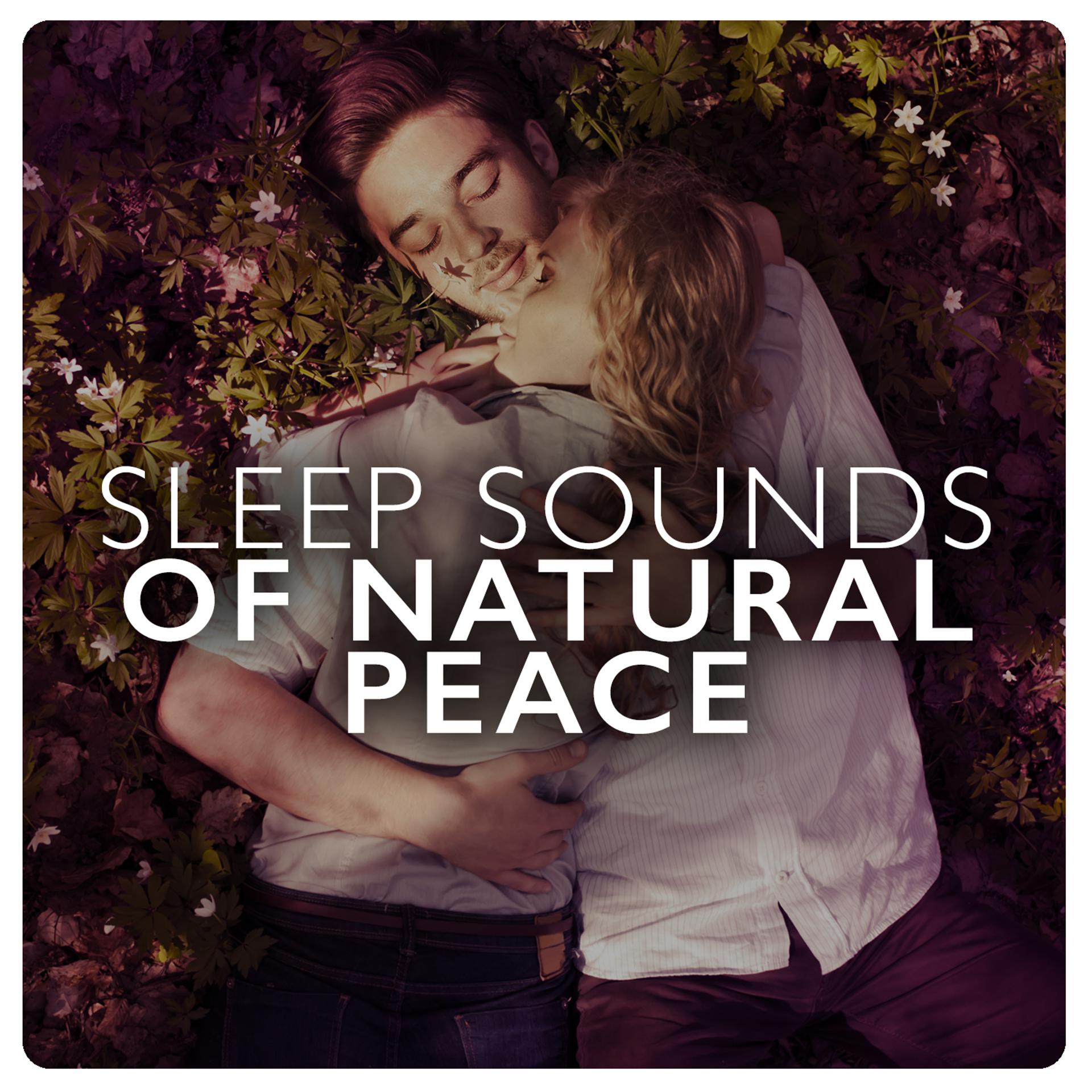 Постер альбома Sleep Sounds of Natural Peace