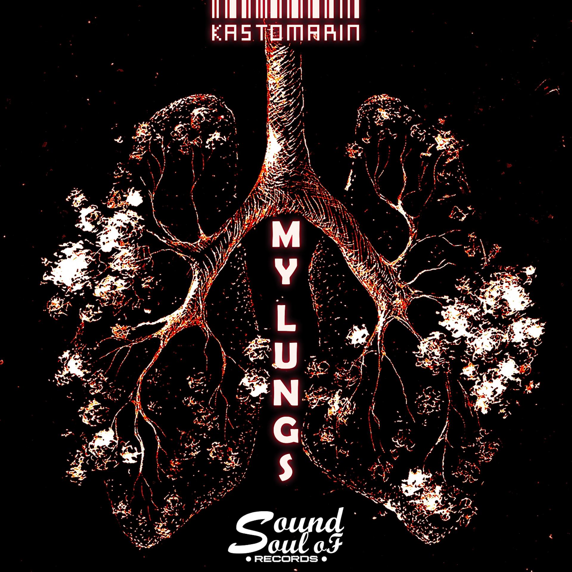 Постер альбома My Lungs