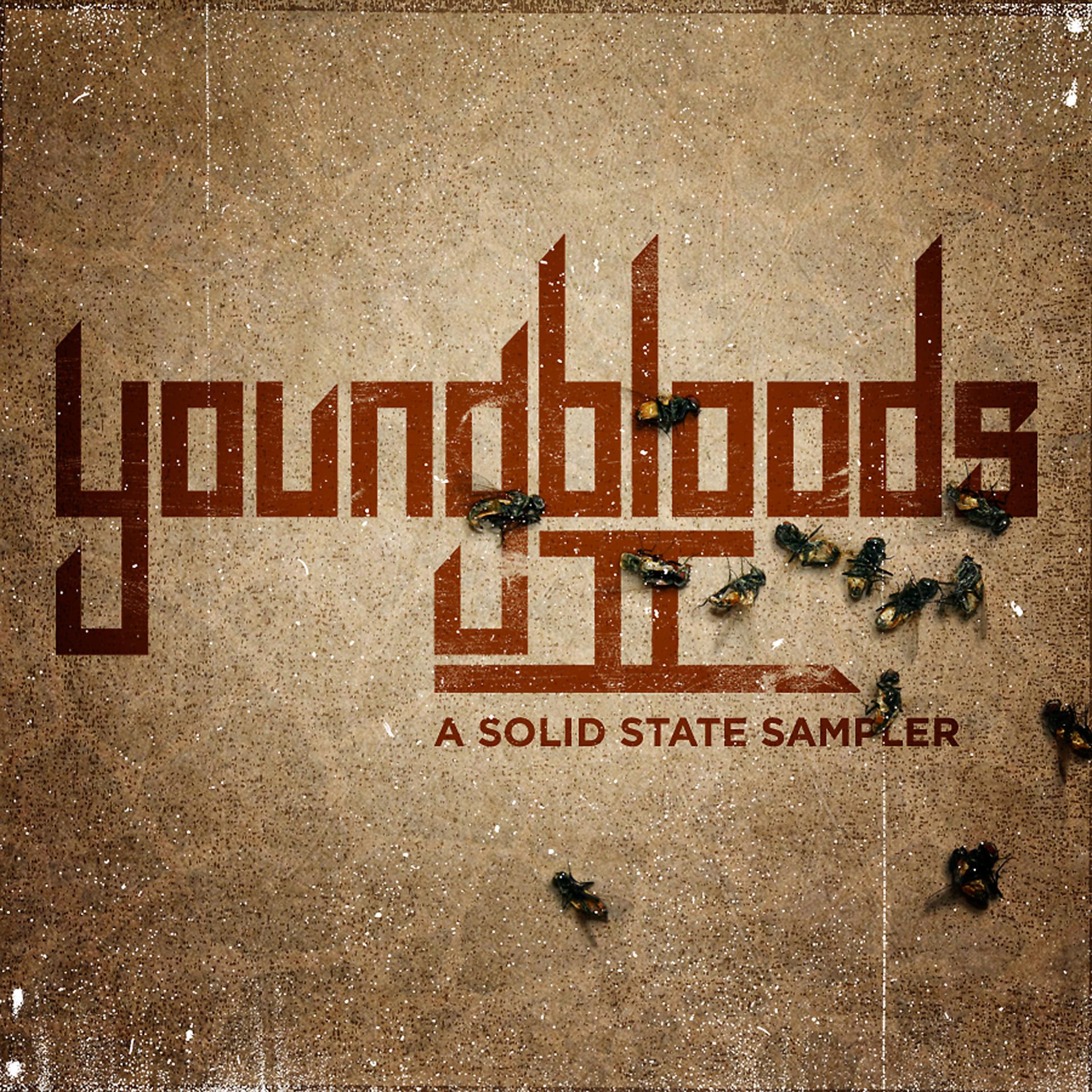 Постер альбома Youngbloods II: A Solid State Sampler