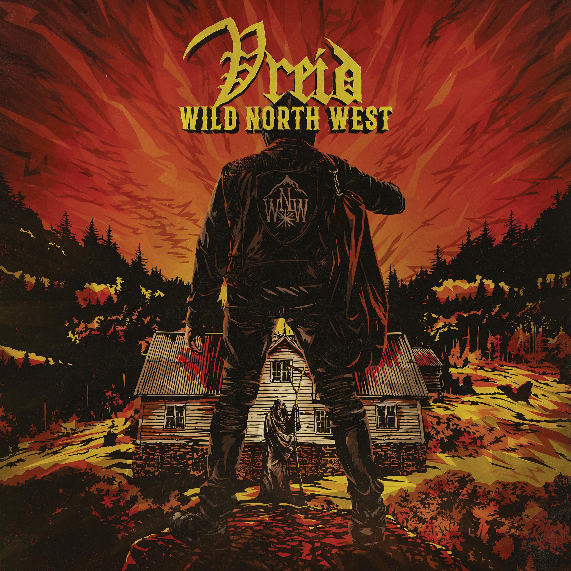 Постер альбома Wild North West