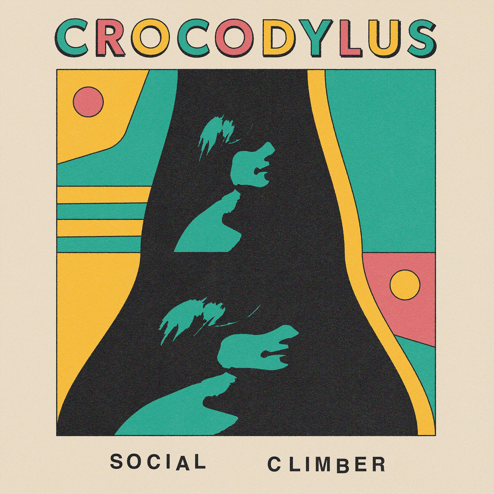 Постер альбома Social Climber / Camouflage