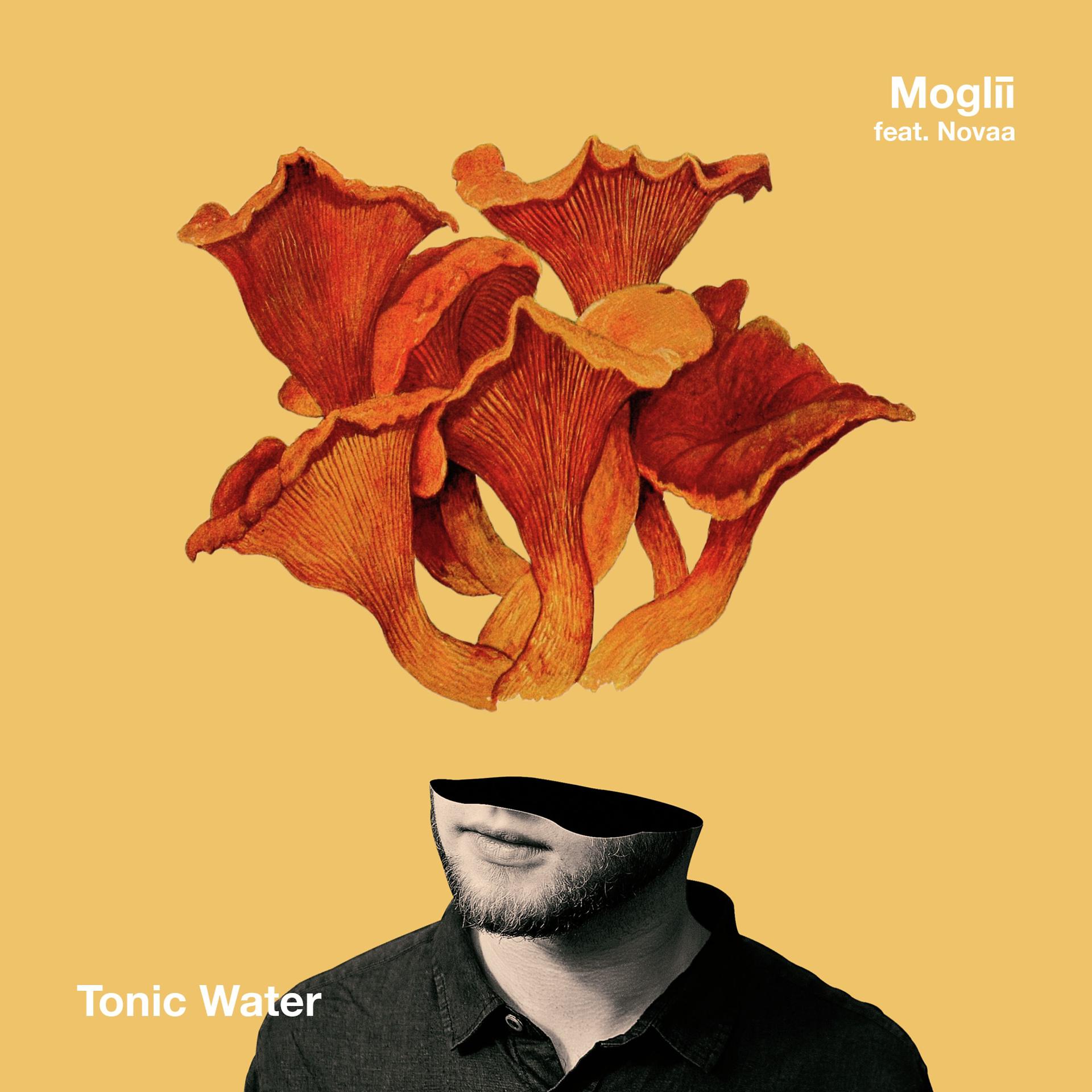 Постер альбома Tonic Water