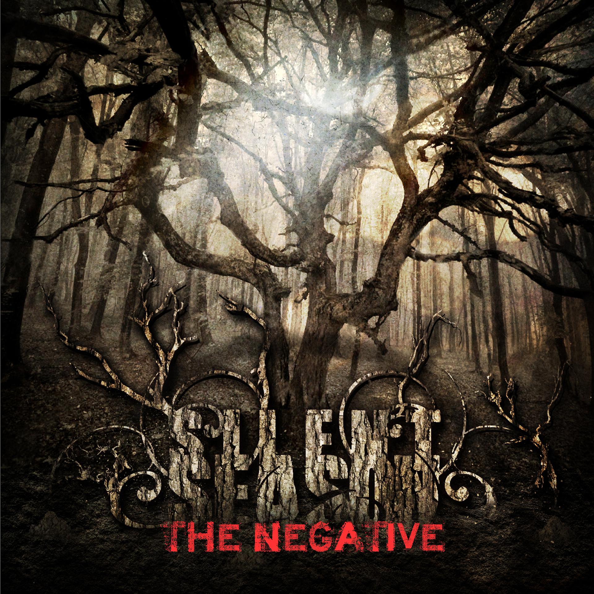Постер альбома The Negative