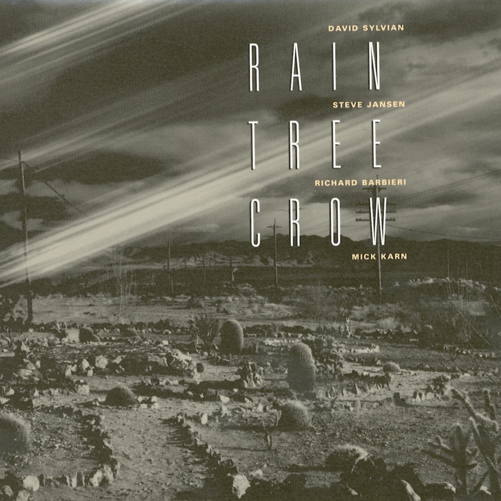 Постер альбома Rain Tree Crow