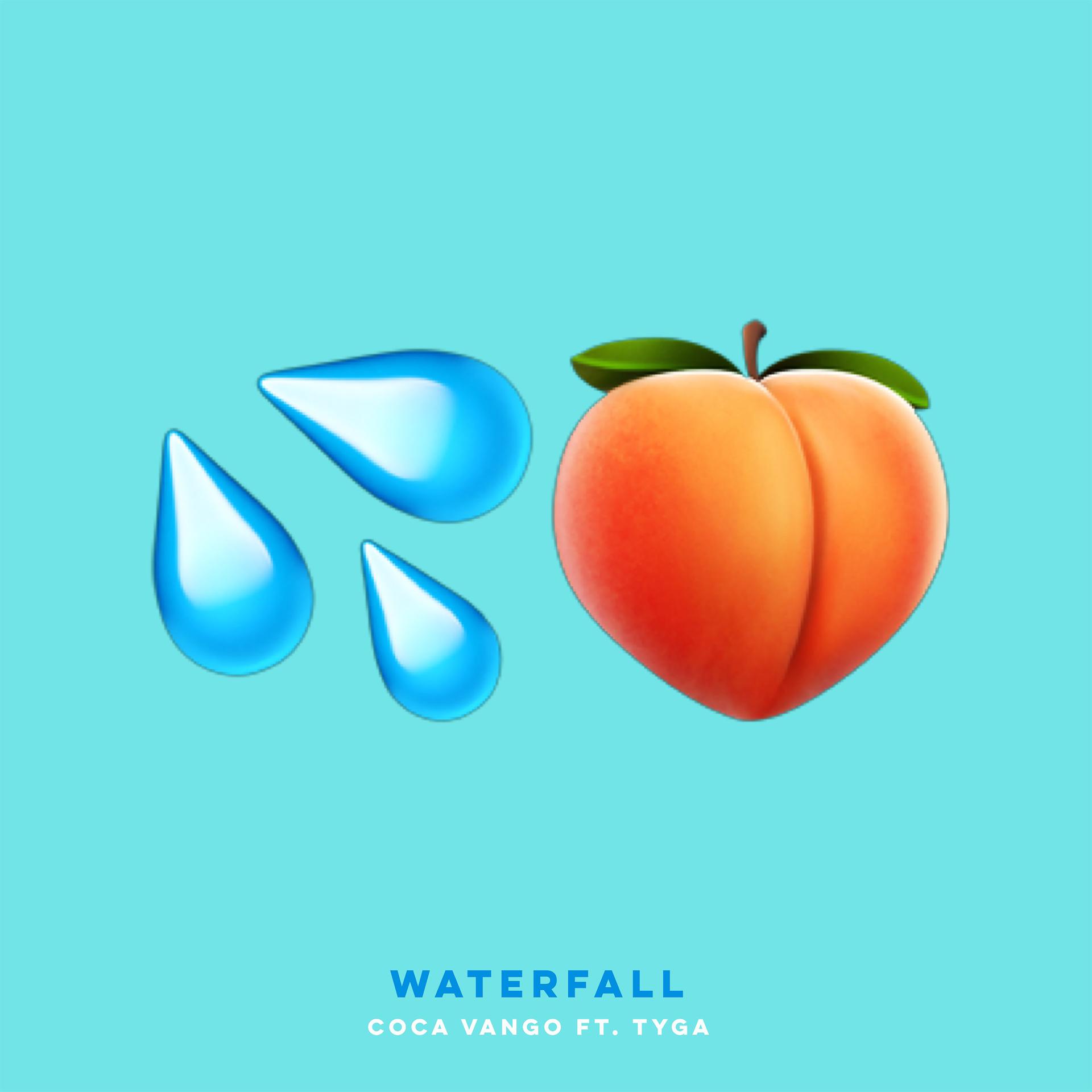 Постер альбома Waterfall (feat. Tyga)
