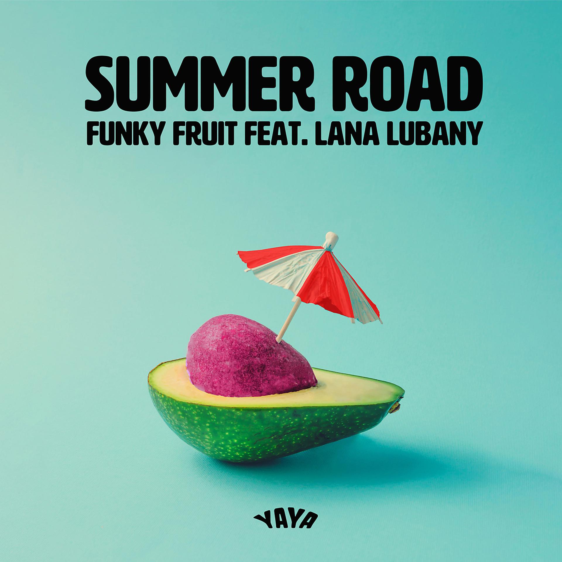 Постер альбома Summer Road (feat. Lana Lubany)