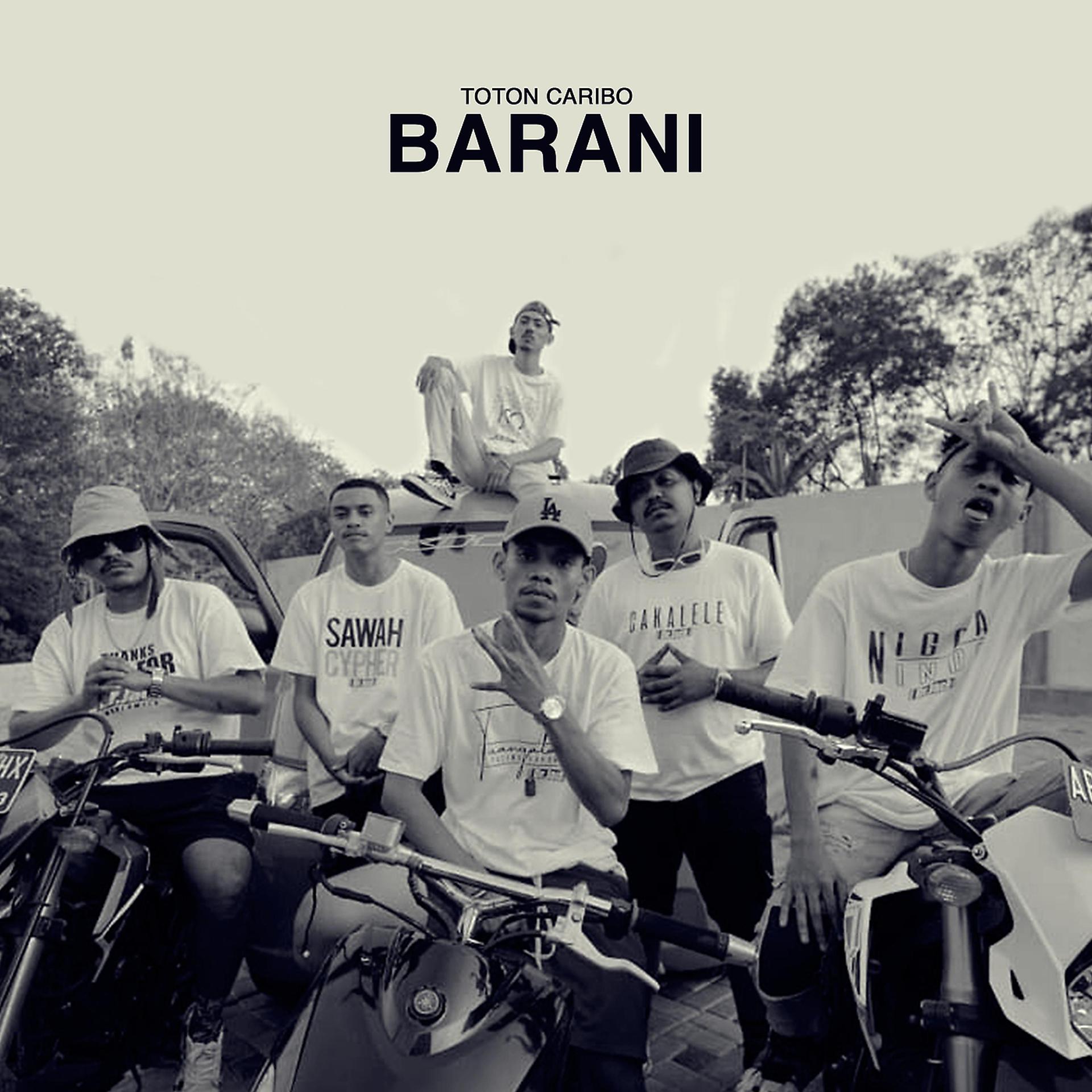 Постер альбома Barani