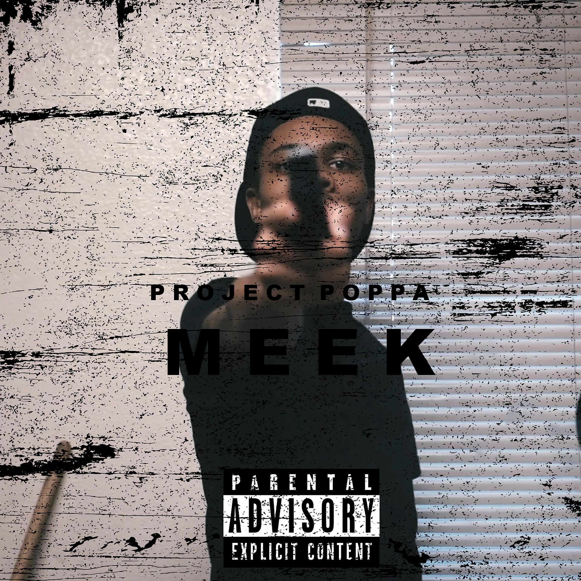 Постер альбома Meek