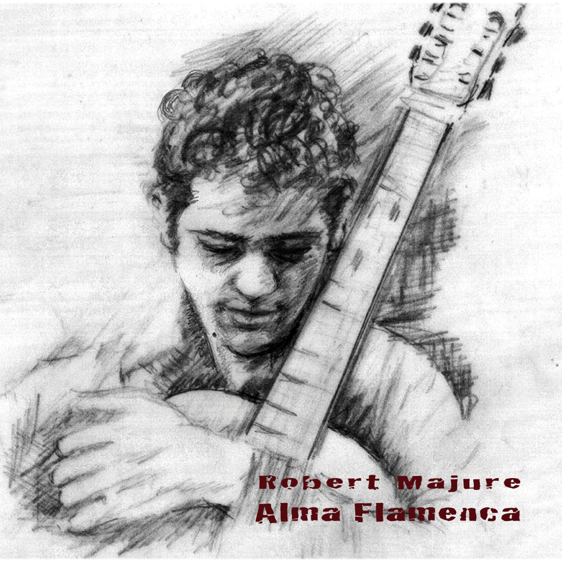 Постер альбома Alma Flamenca