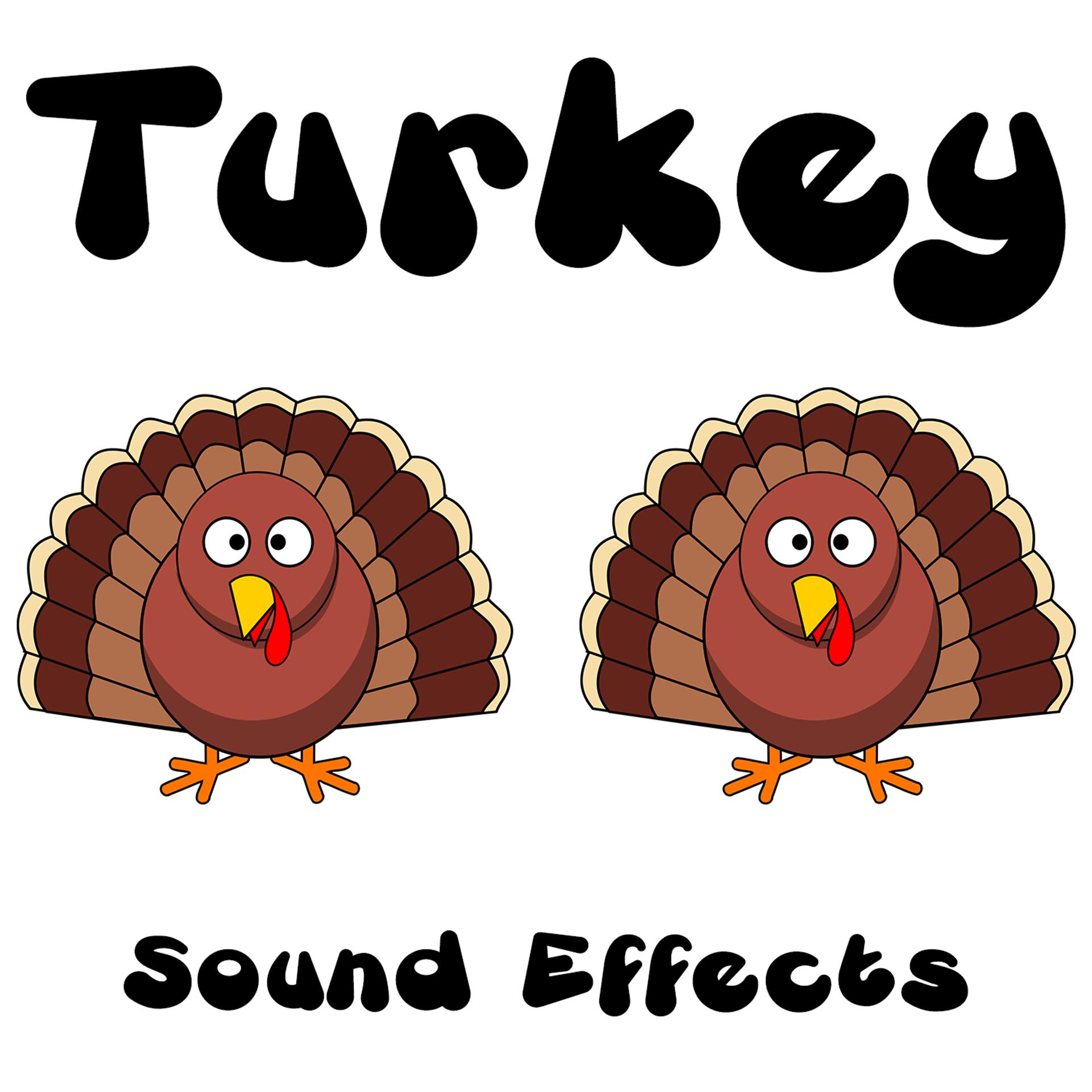 Постер альбома Turkey Sound Effects